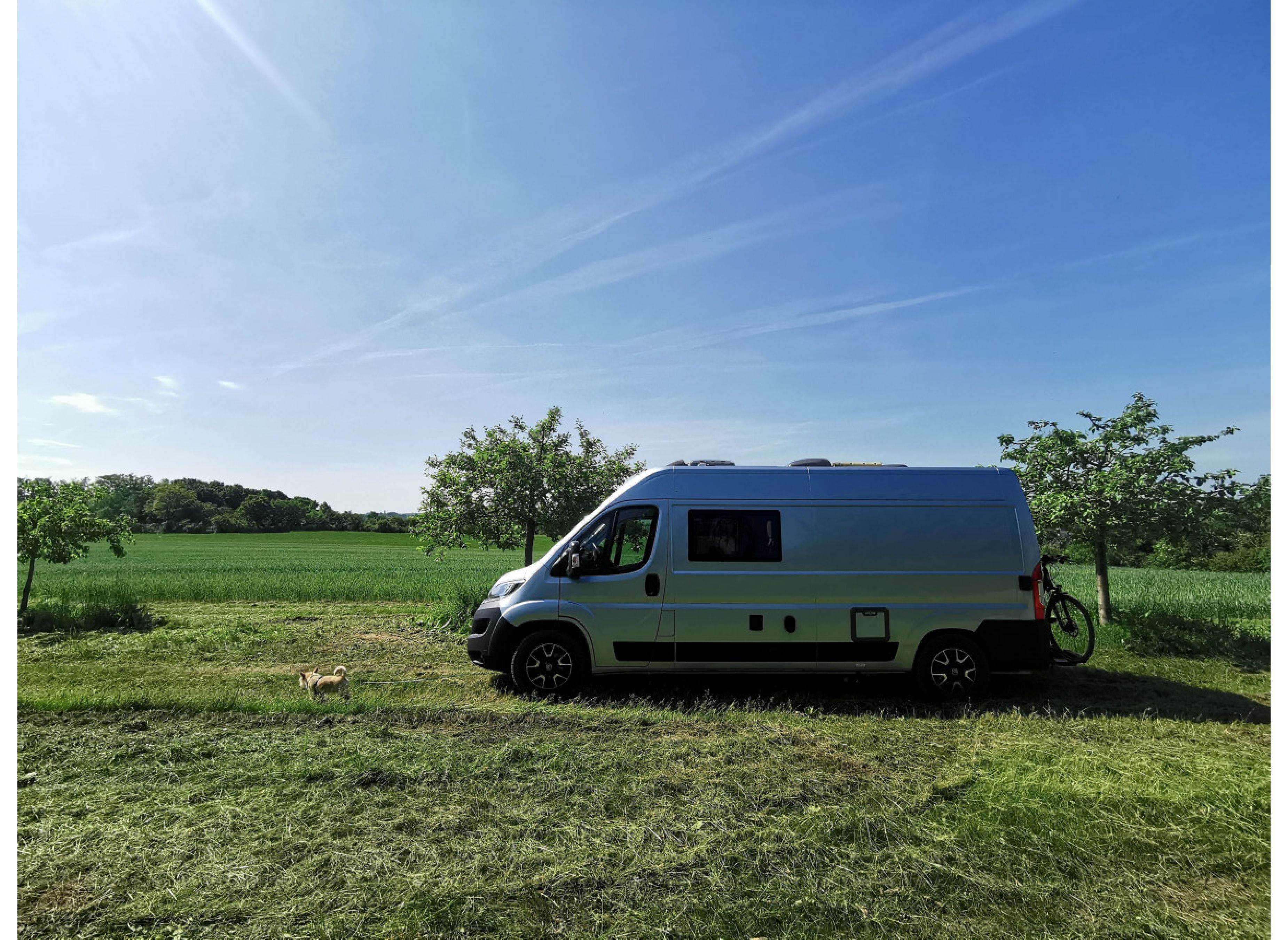 Streuobstwiese mit viel Platz #2