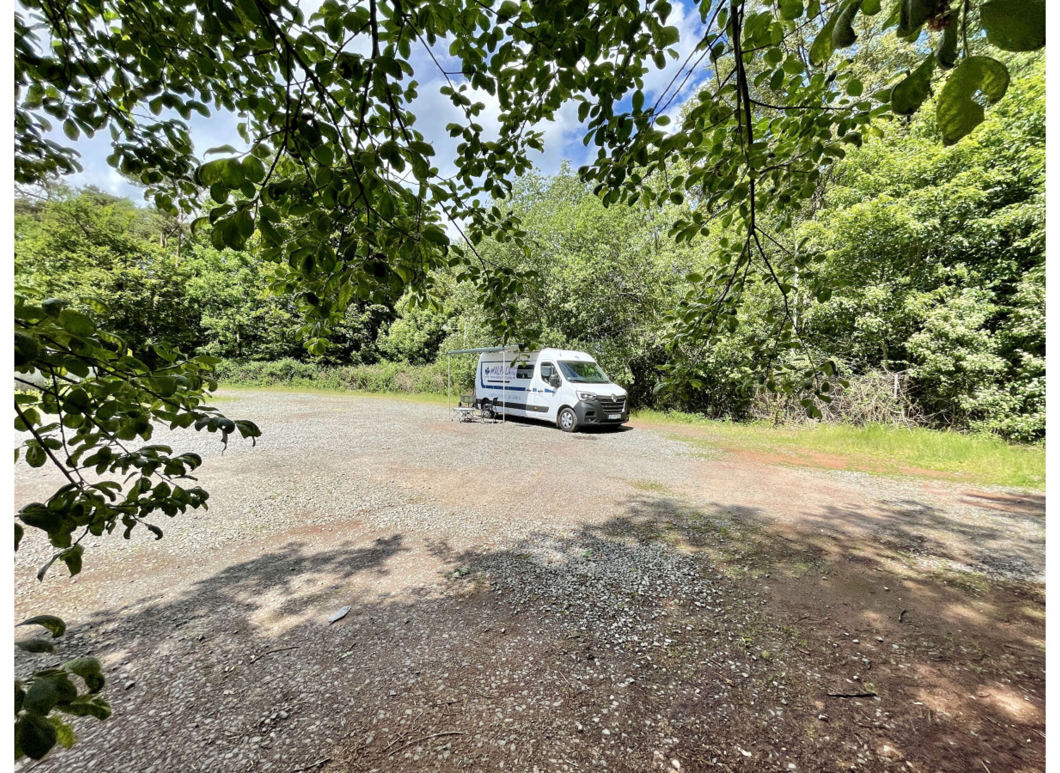 Sportplatz-Wiese am Waldrand