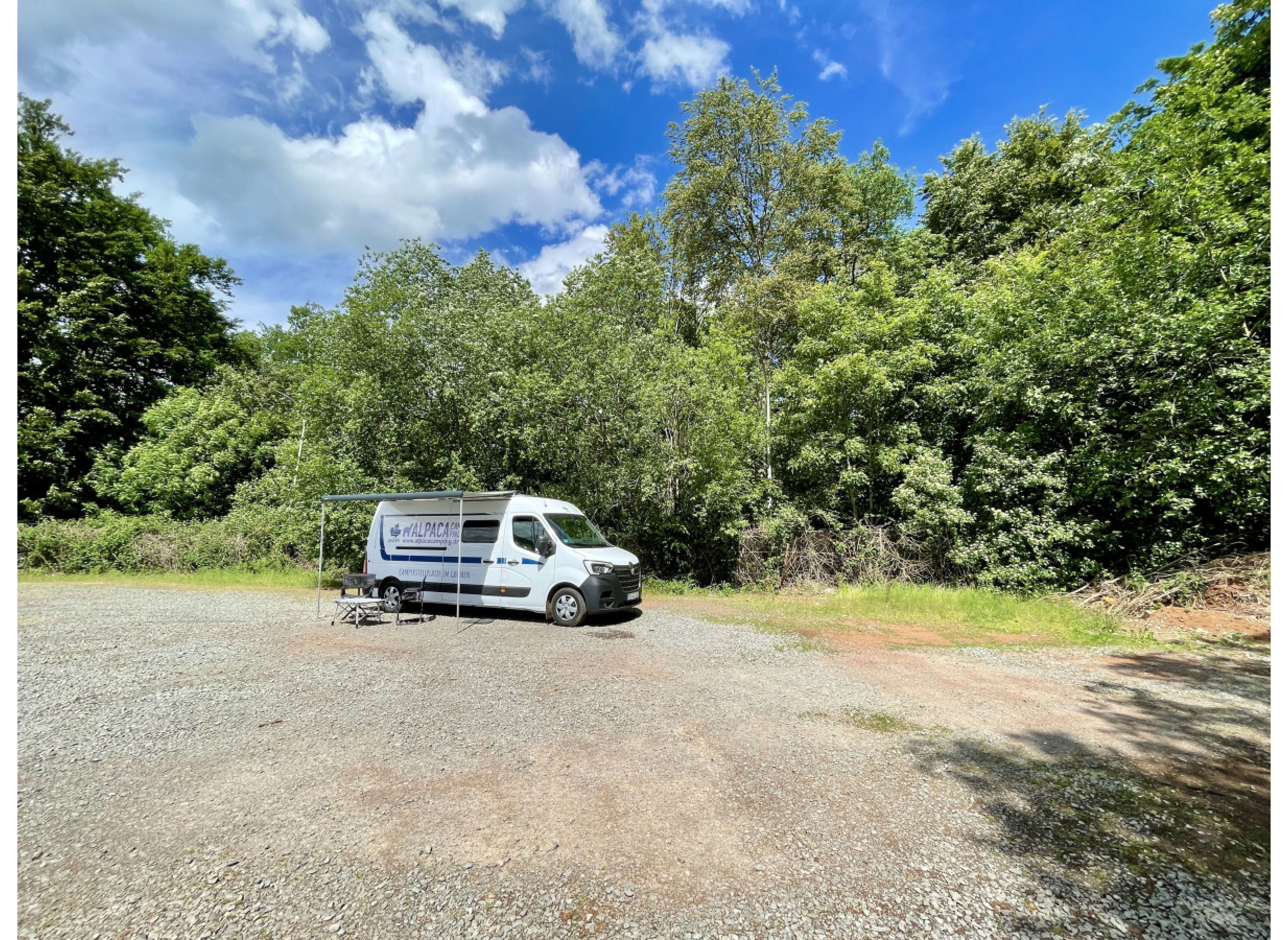 Sportplatz-Wiese am Waldrand — Photo 2