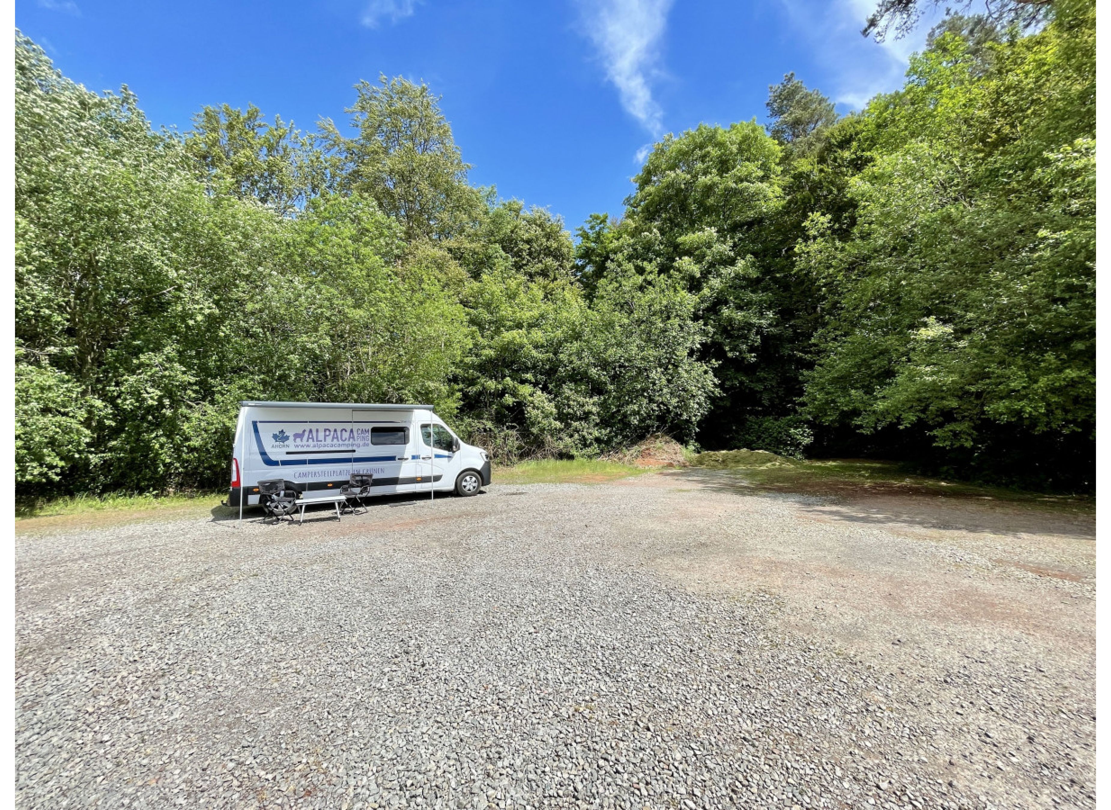 Sportplatz-Wiese am Waldrand — Photo 3