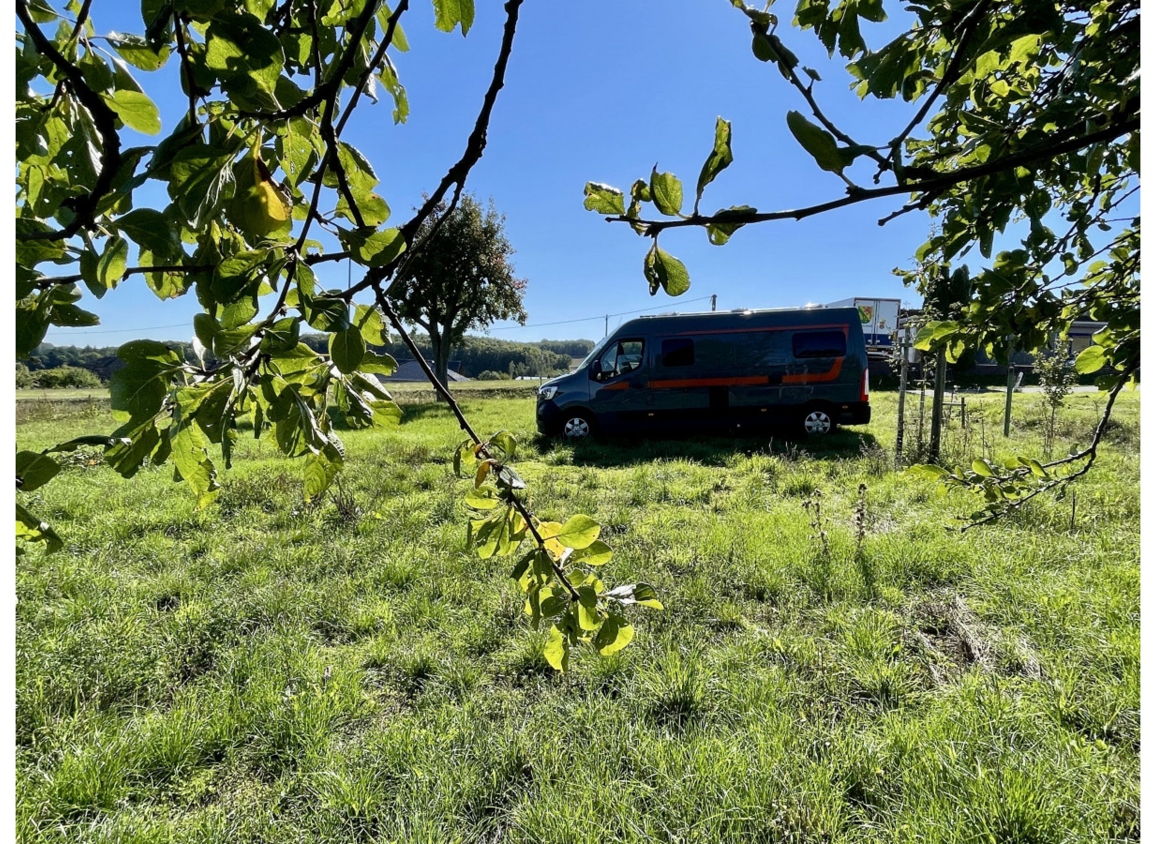 Im Apfelgarten mit Aussicht
