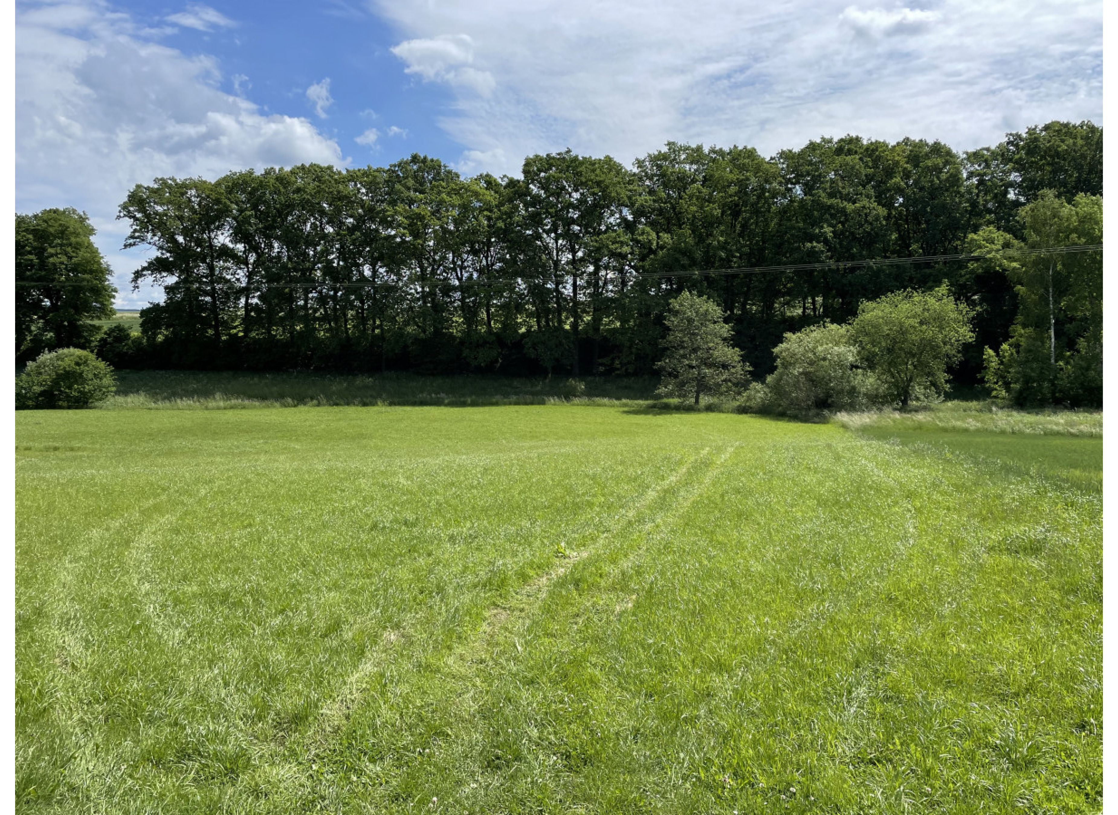 Zeltmöglichkeit idyllisch am Bach gelegen — Photo 2