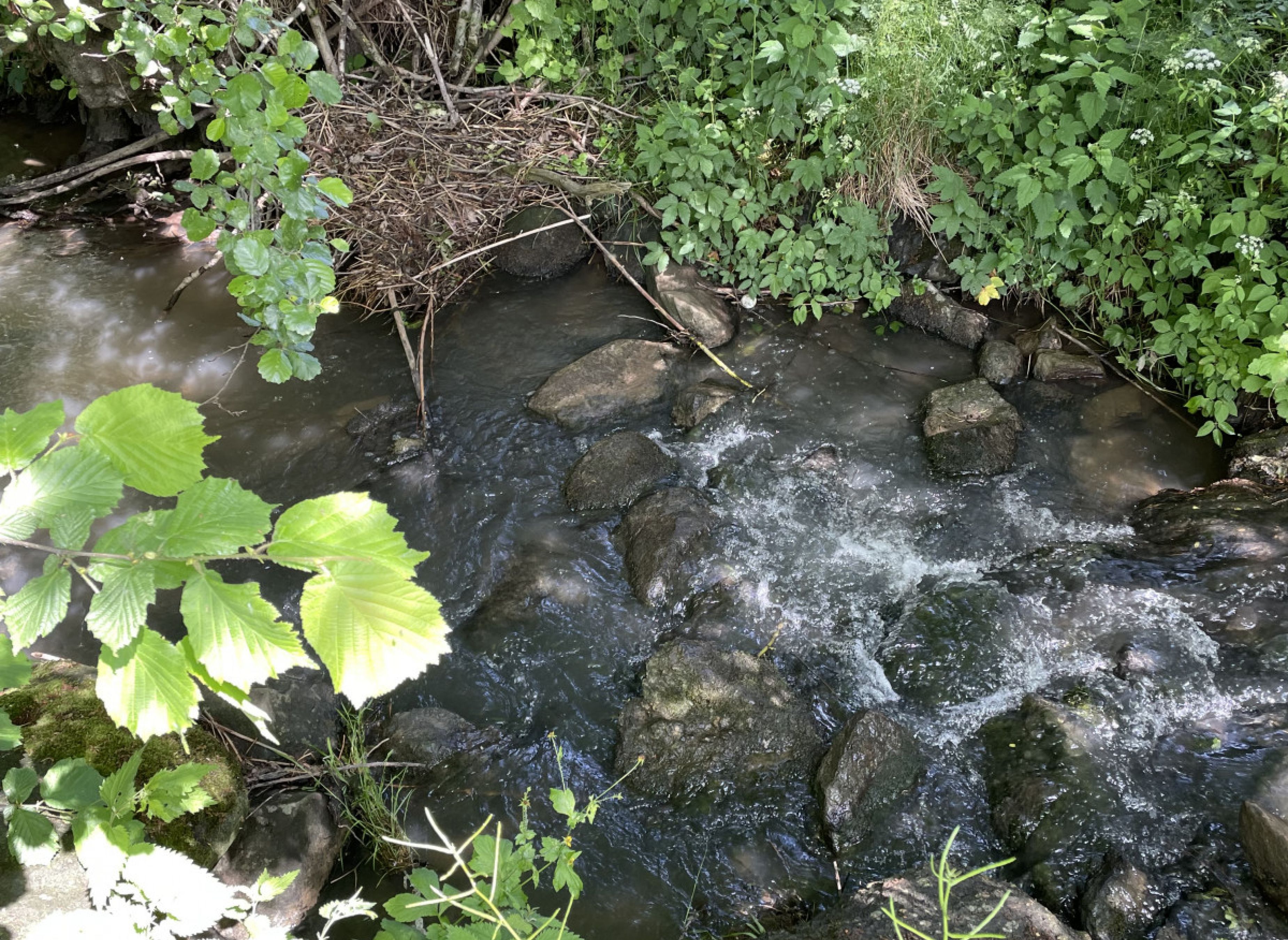 Zeltmöglichkeit idyllisch am Bach gelegen — Photo 3