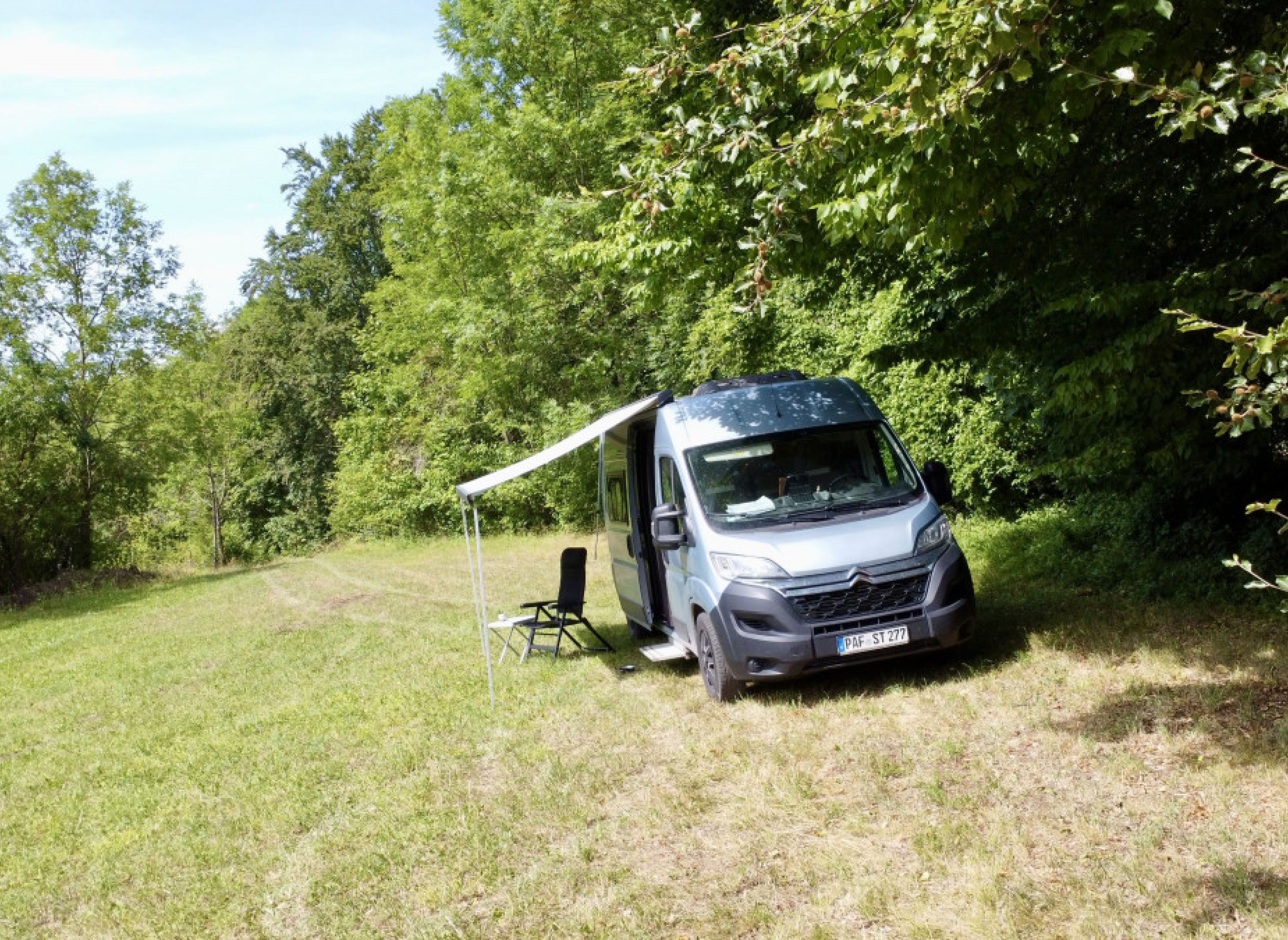 Grüne Wiese am Waldrand — Photo 2