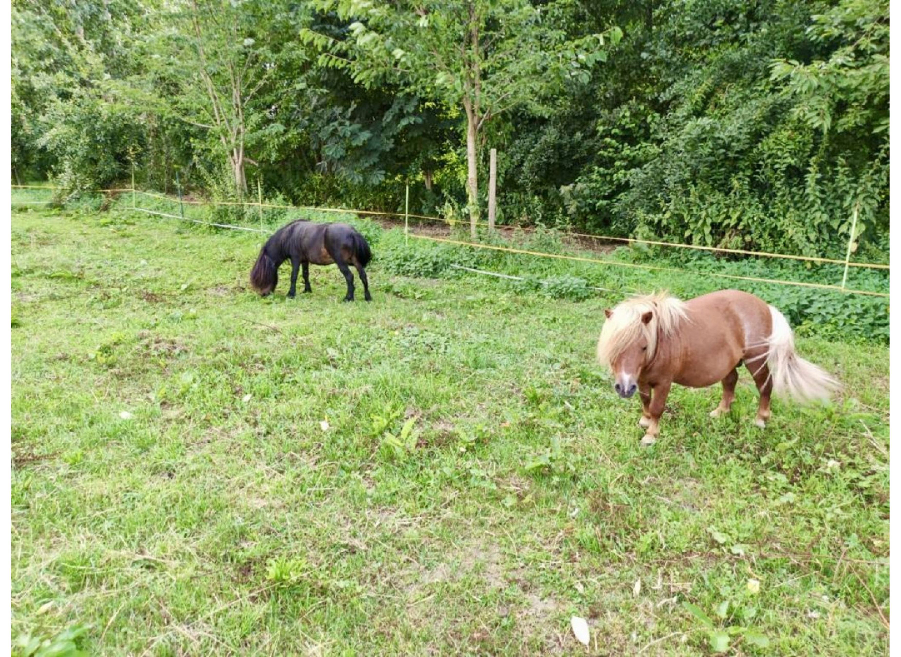 Beim Mehrgenerationenhof