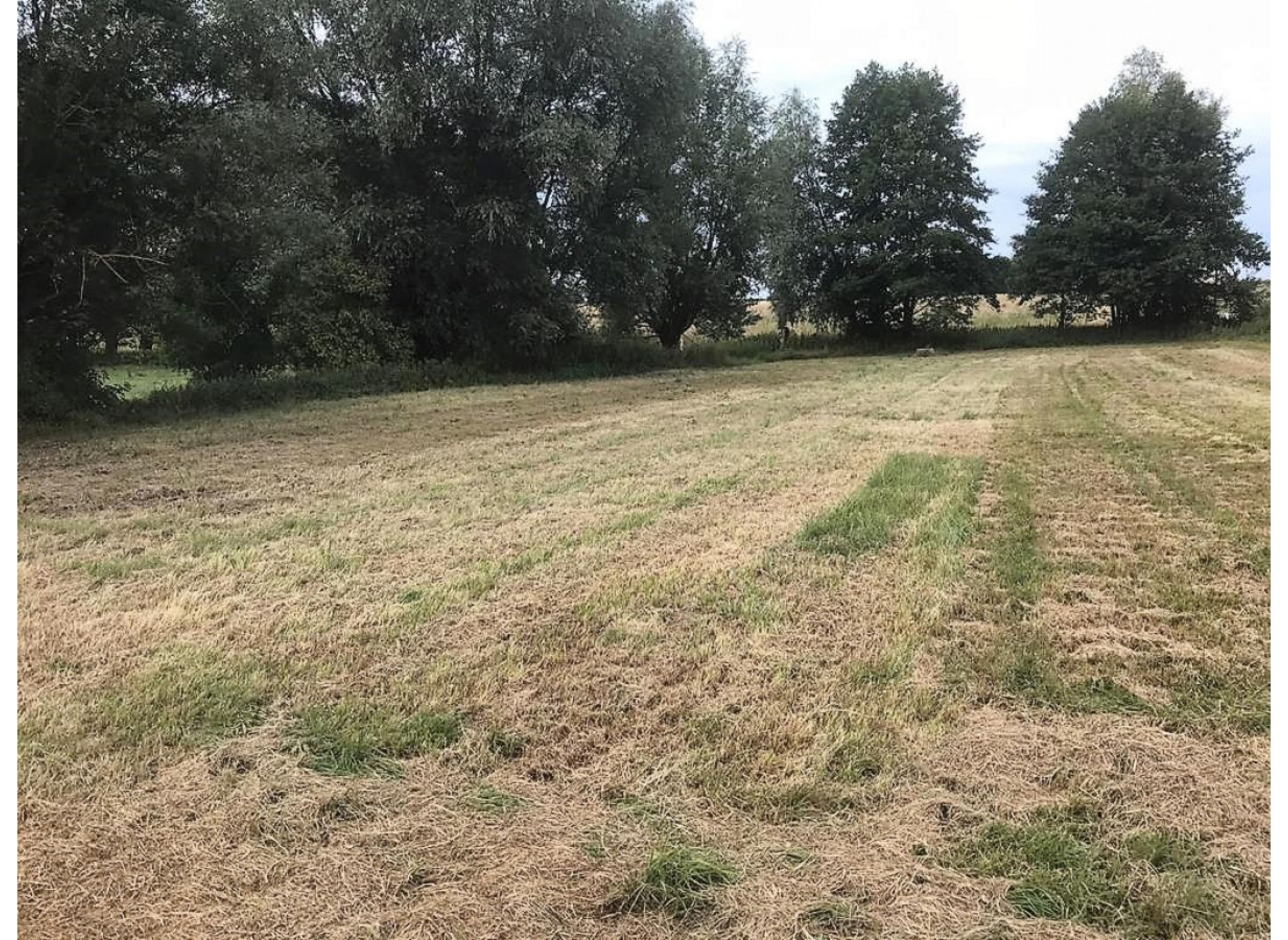 Stellplatz in ruhiger Lage