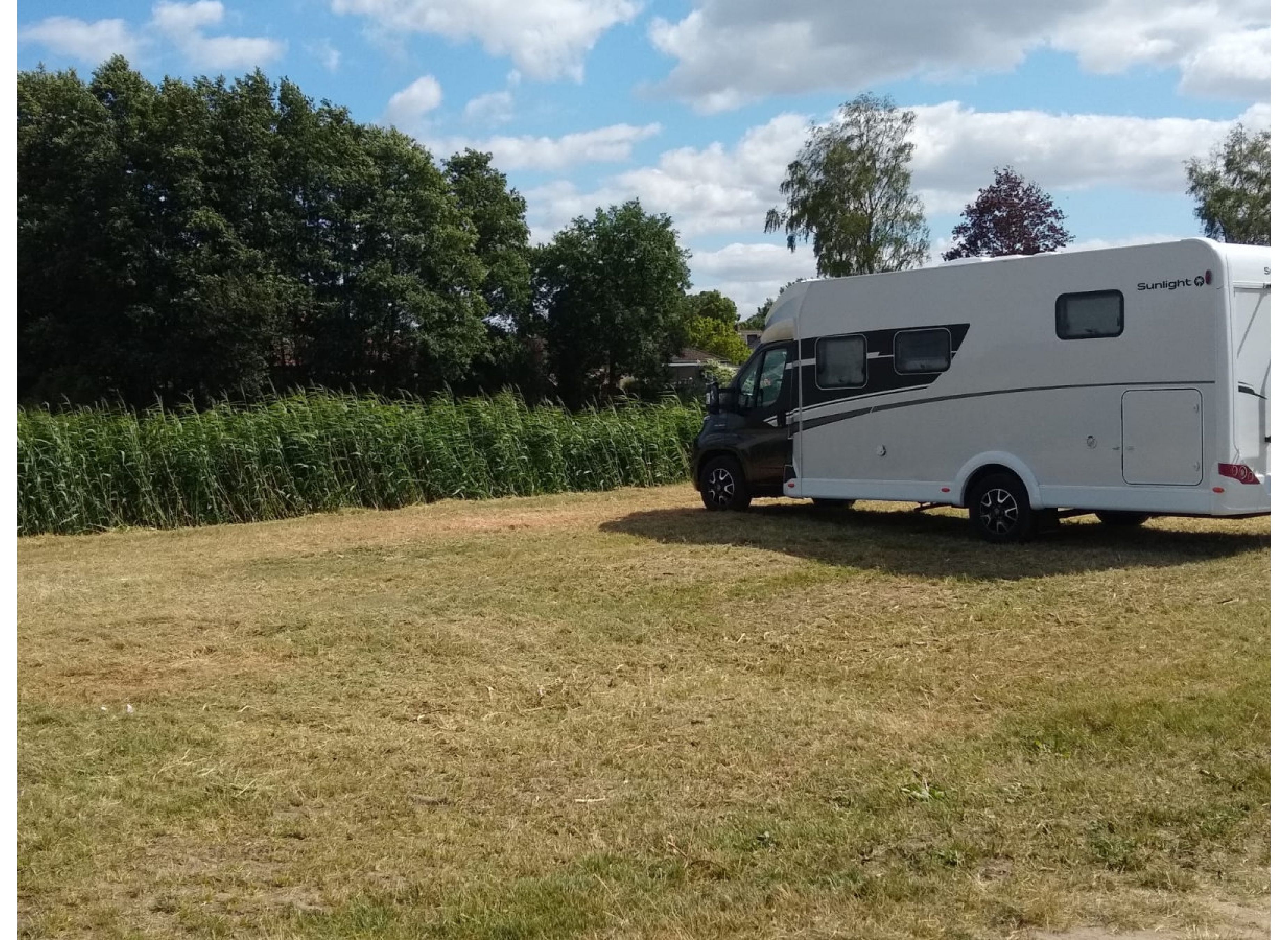 In der Natur #4 — Photo 2