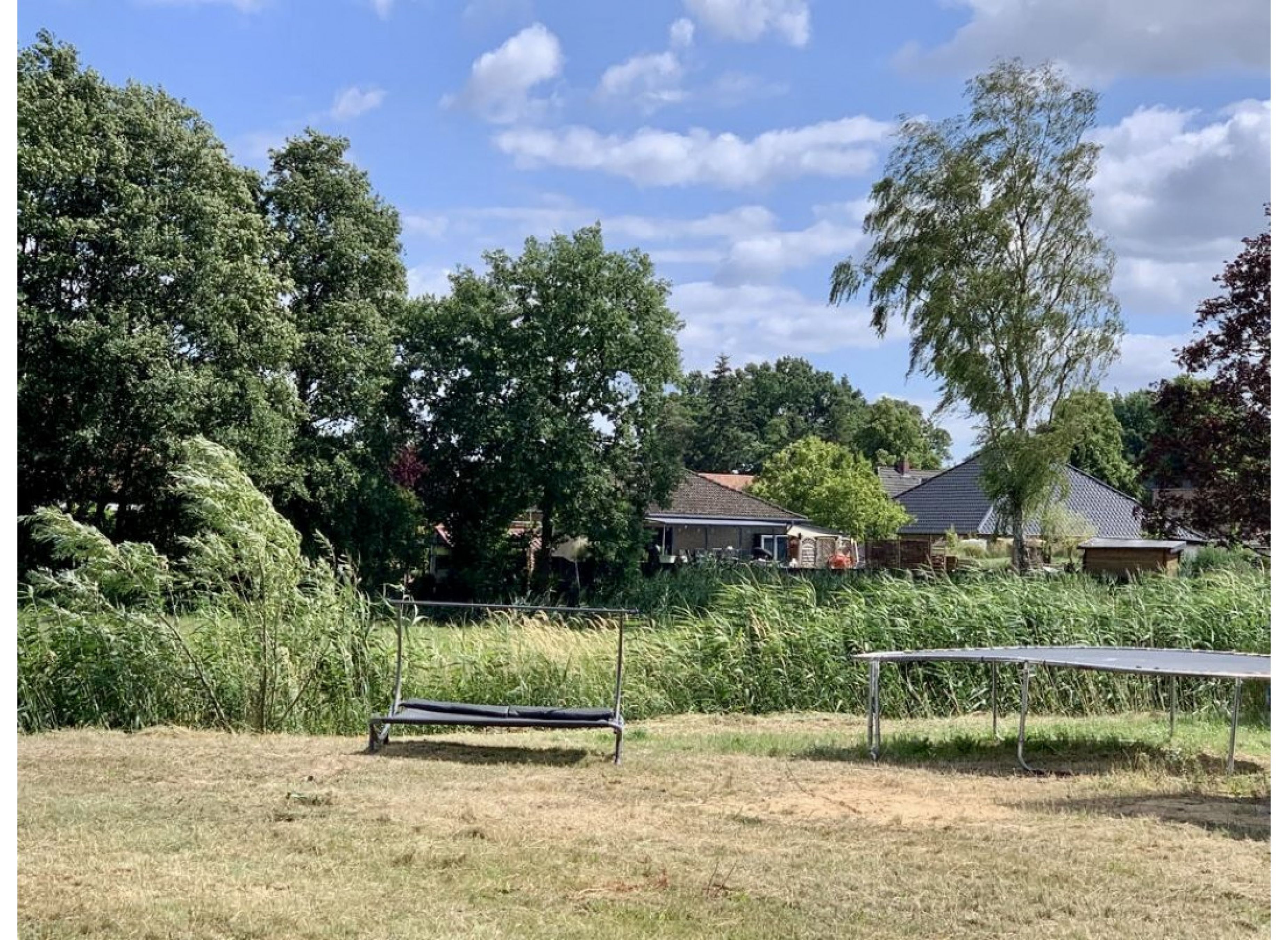 In der Natur #4 — Photo 3