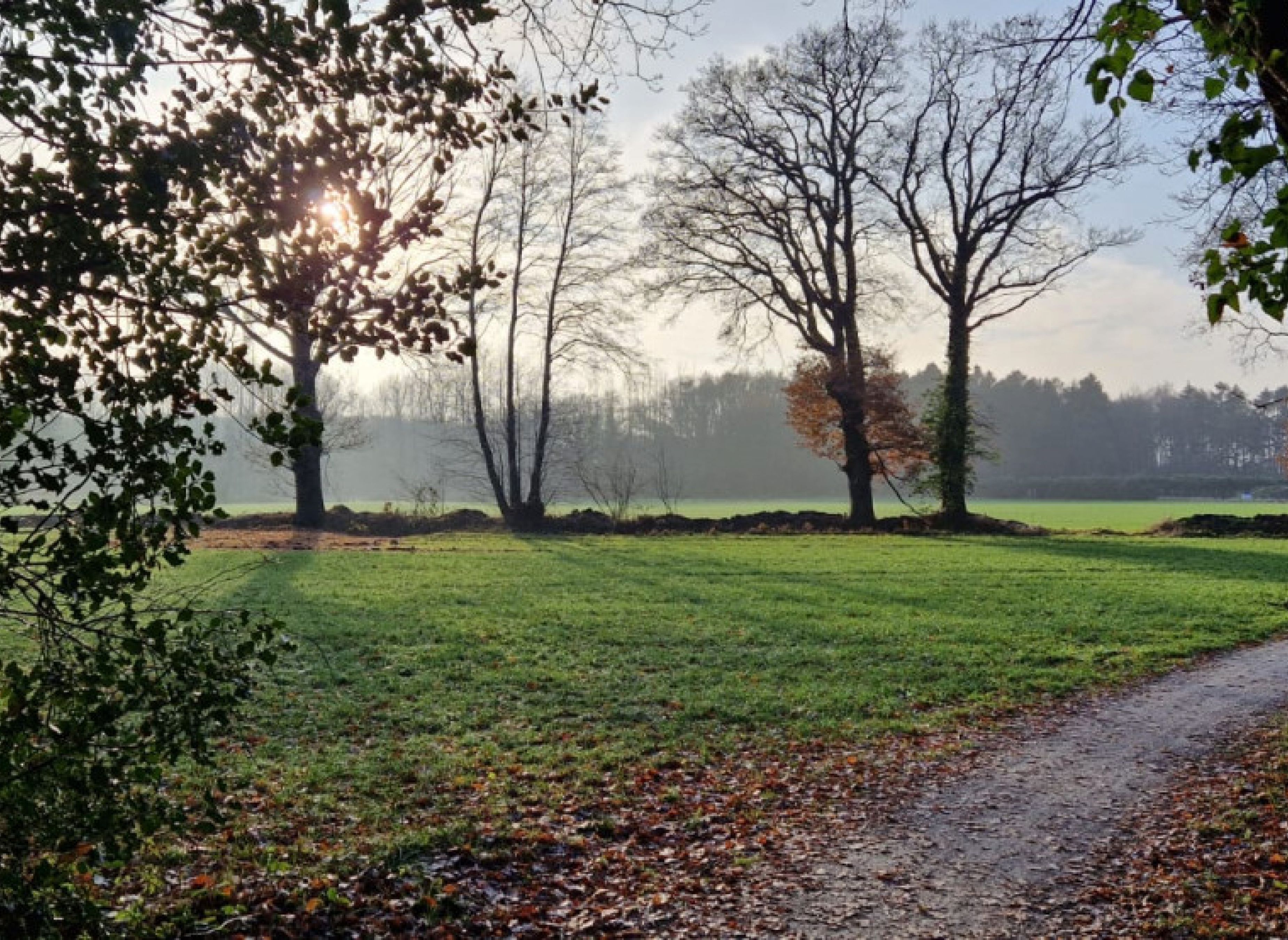 Einzelstellplatz auf Privatgrundstück — Photo 3