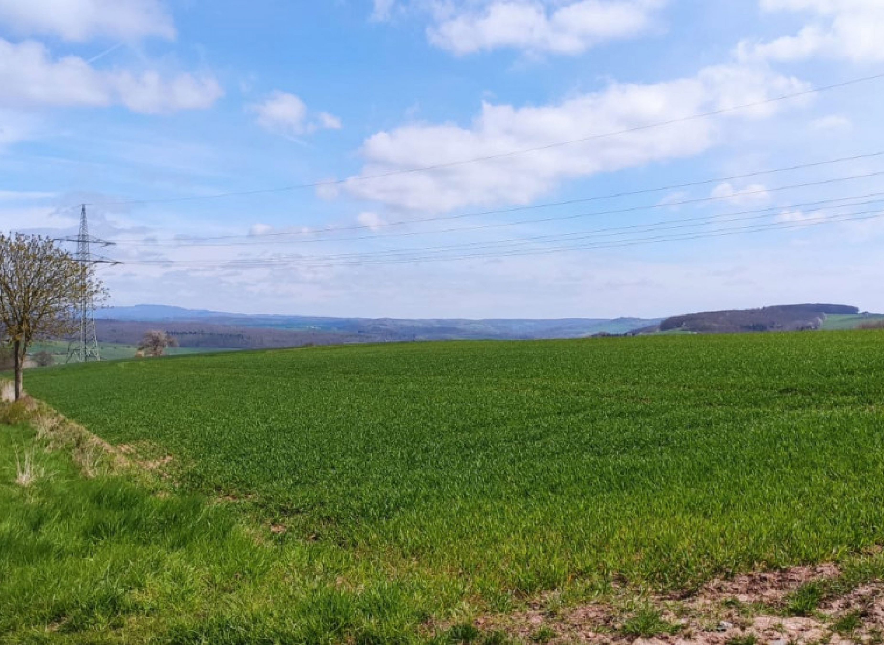 Stellplatz in Duderstadt mit herrlichem Harzblick und Gasthaus in der Nähe