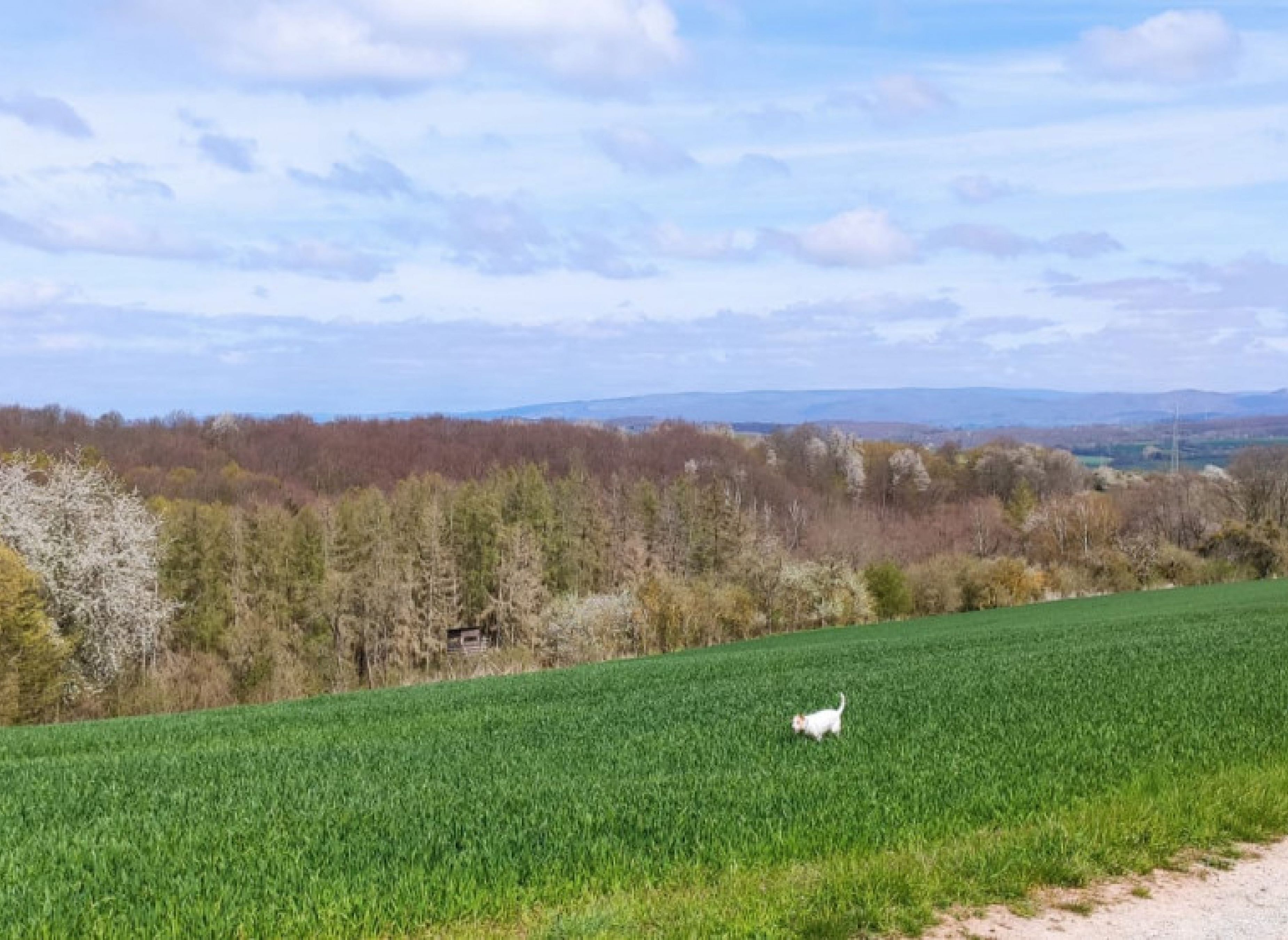 Stellplatz in Duderstadt mit herrlichem Harzblick und Gasthaus in der Nähe — Photo 2
