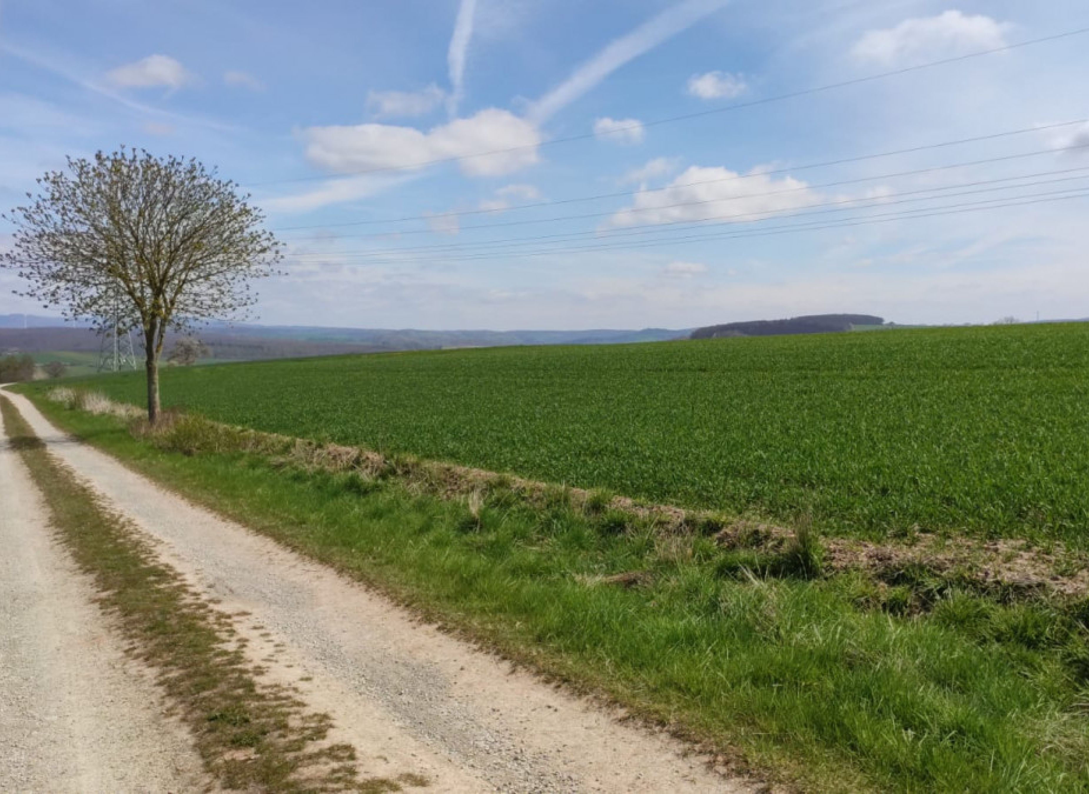 Stellplatz in Duderstadt mit herrlichem Harzblick und Gasthaus in der Nähe — Photo 3