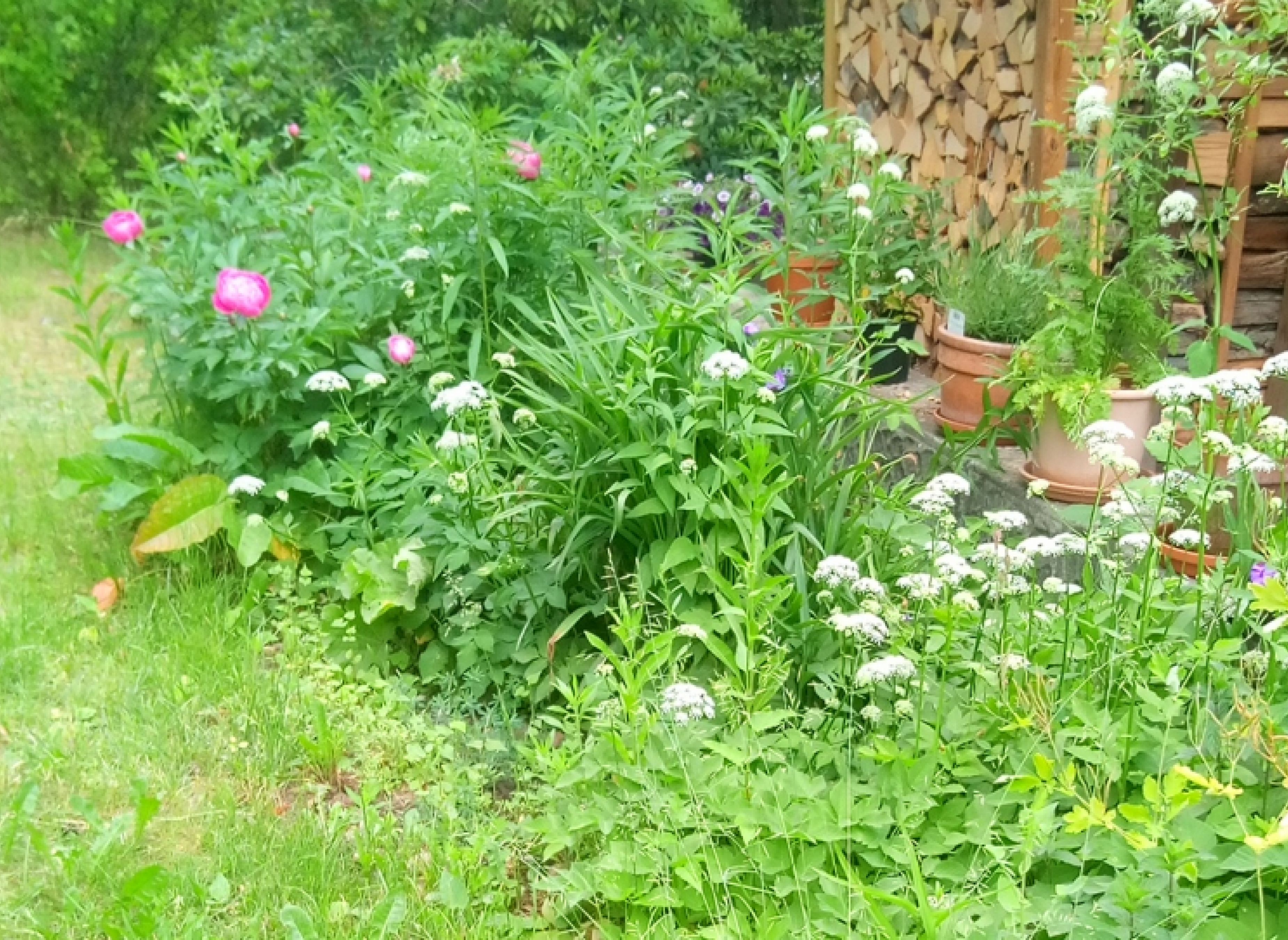 Ruhe genießen am Waldrand