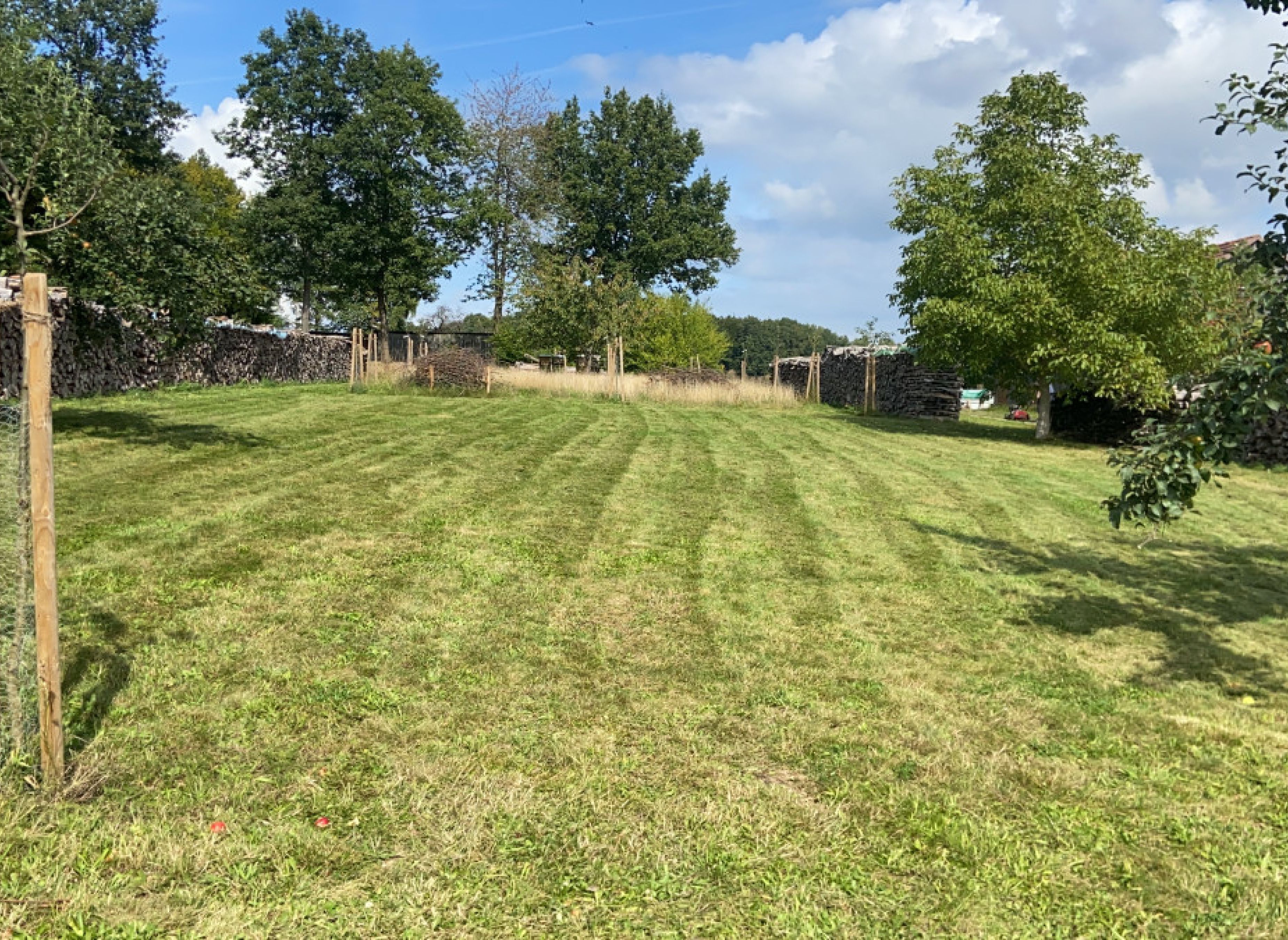 Wunderschöner Stellplatz auf unserer Streuobstwiese #3