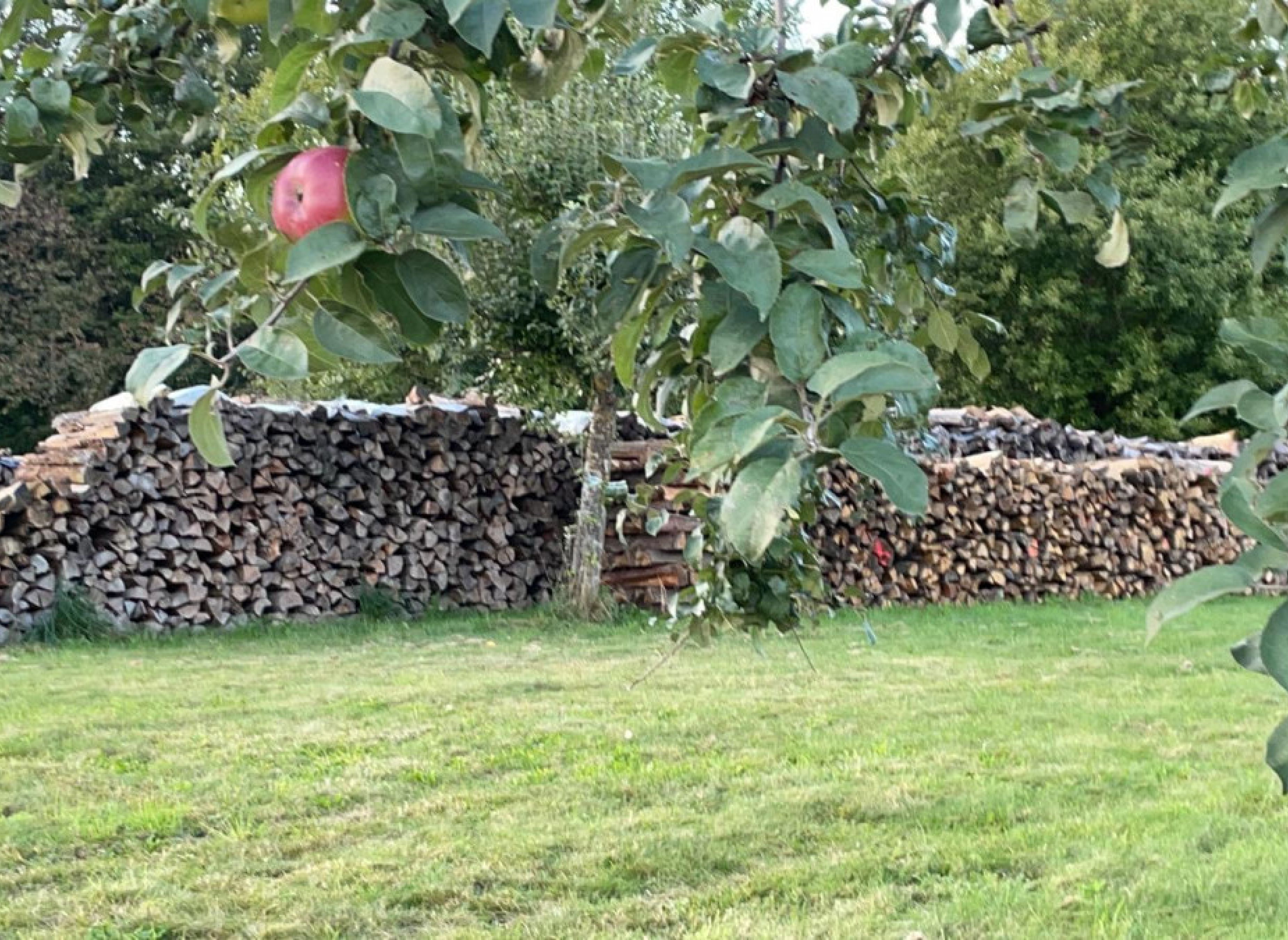 Wunderschöner Stellplatz auf unserer Streuobstwiese #3 — Photo 2