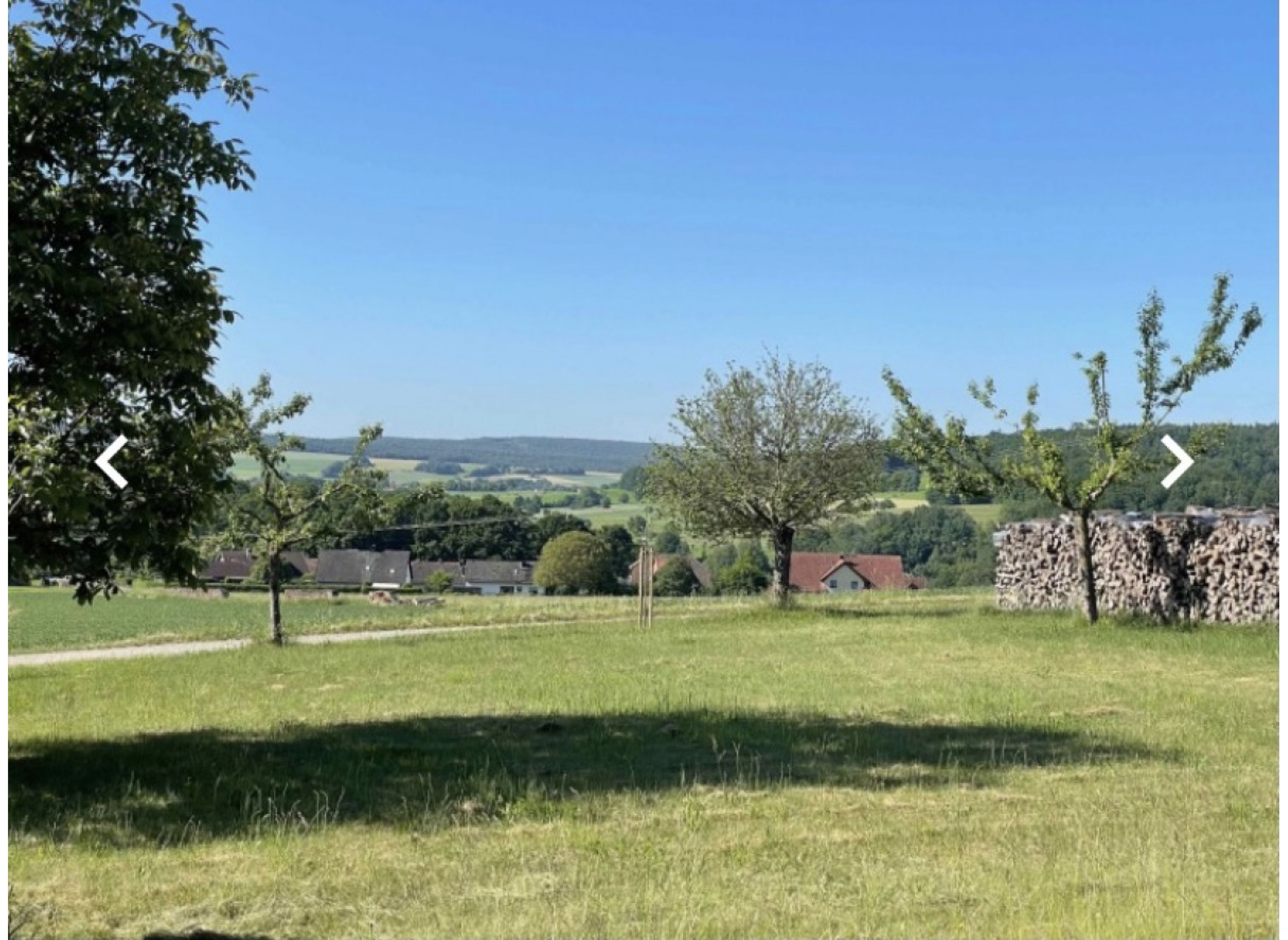 Wunderschöner Stellplatz auf unserer Streuobstwiese #3 — Photo 3