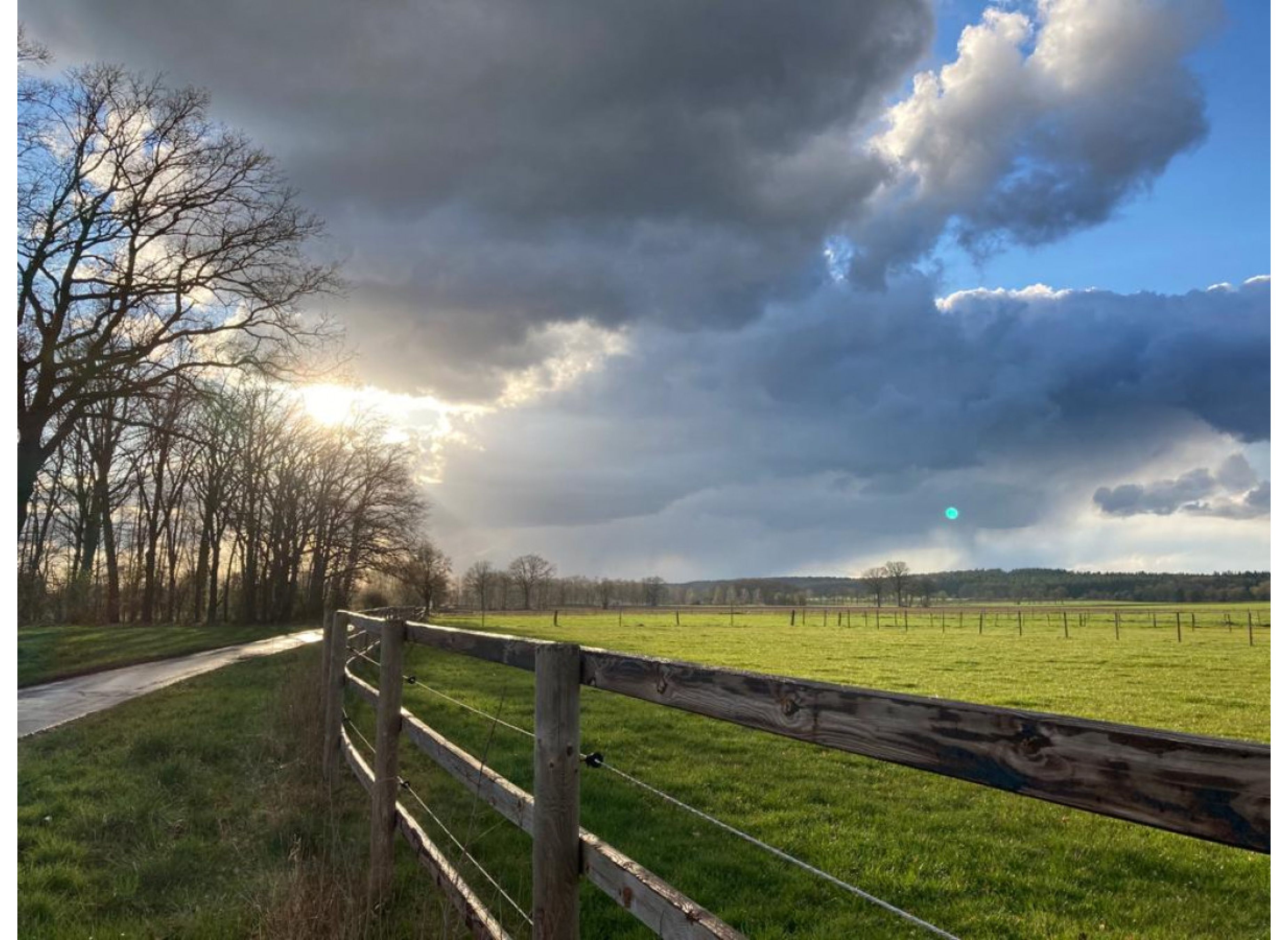 Campen zwischen Wald und Wiese #2