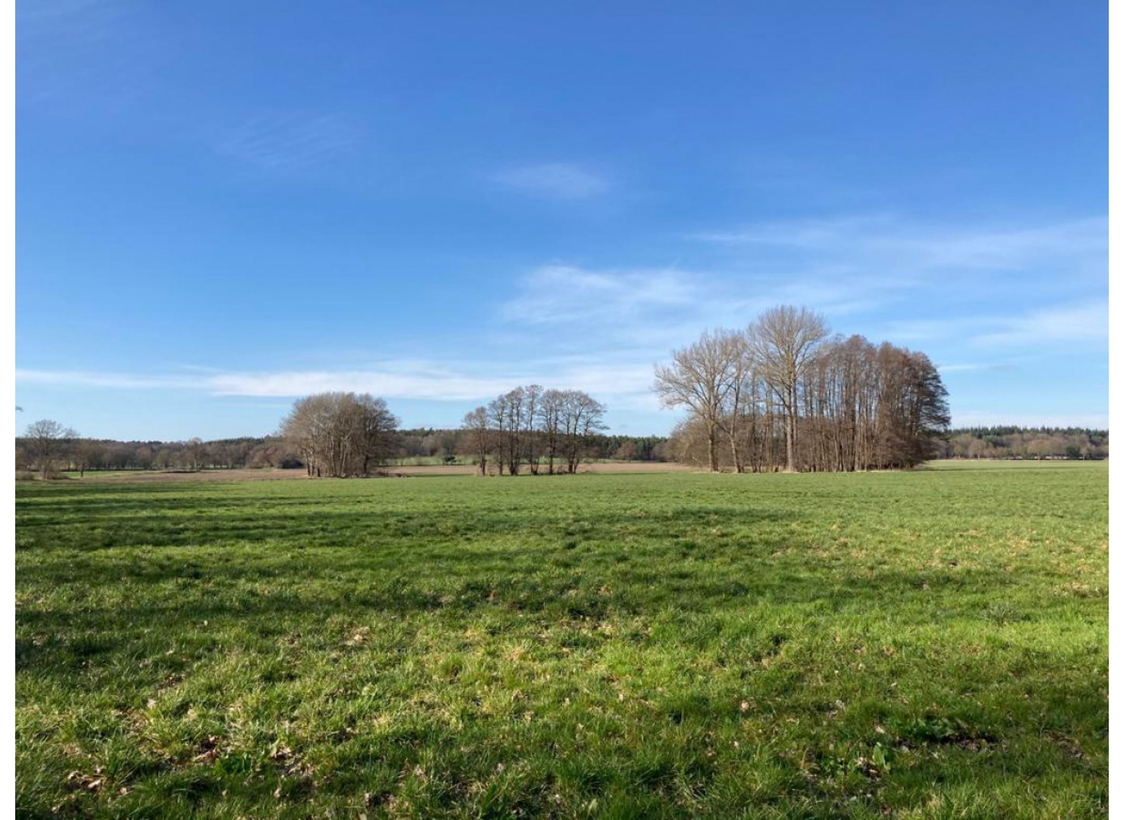 Campen zwischen Wald und Wiese #2 — Photo 2