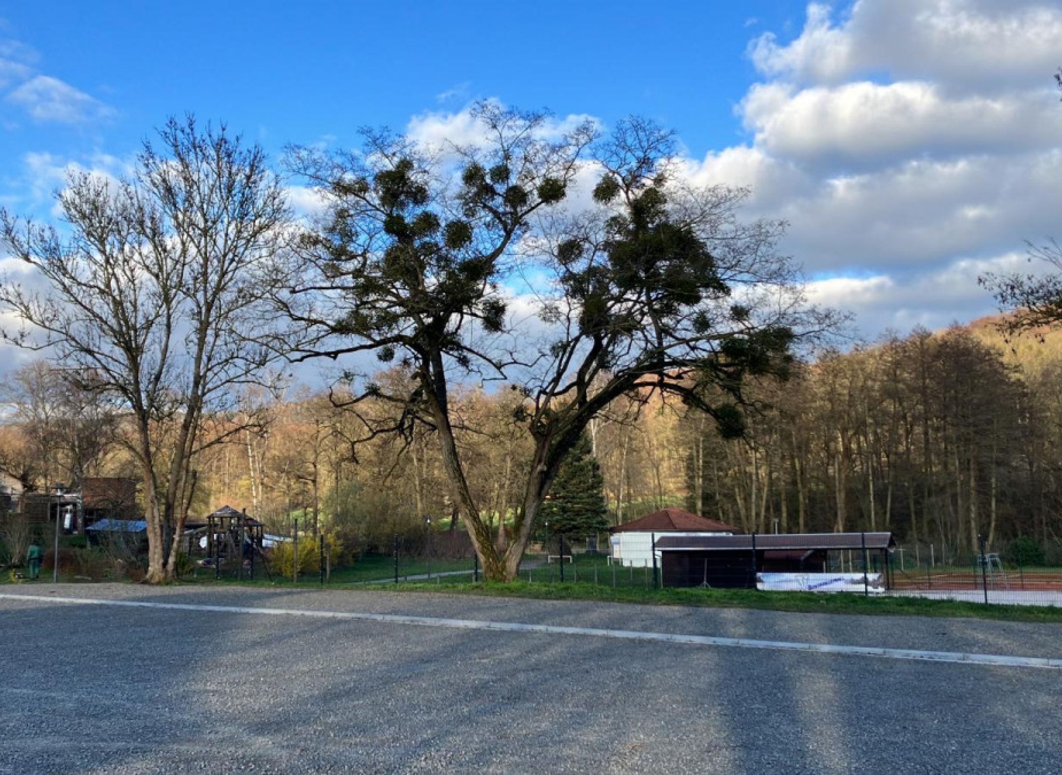 Stellplätze am Tierpark #2 — Photo 2