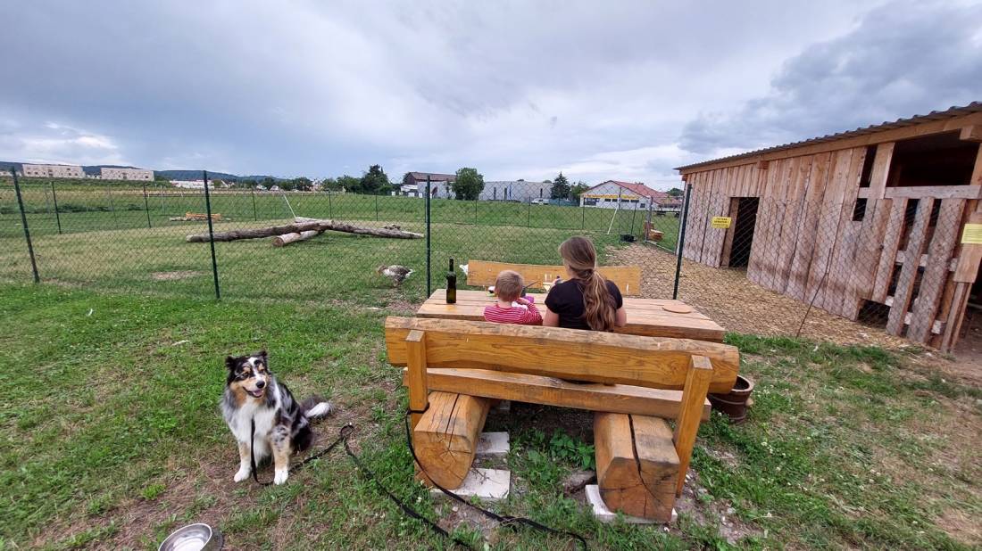 Michaelsbergblick — Photo 5