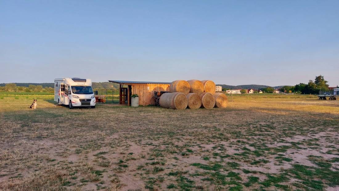 Michaelsbergblick — Photo 4