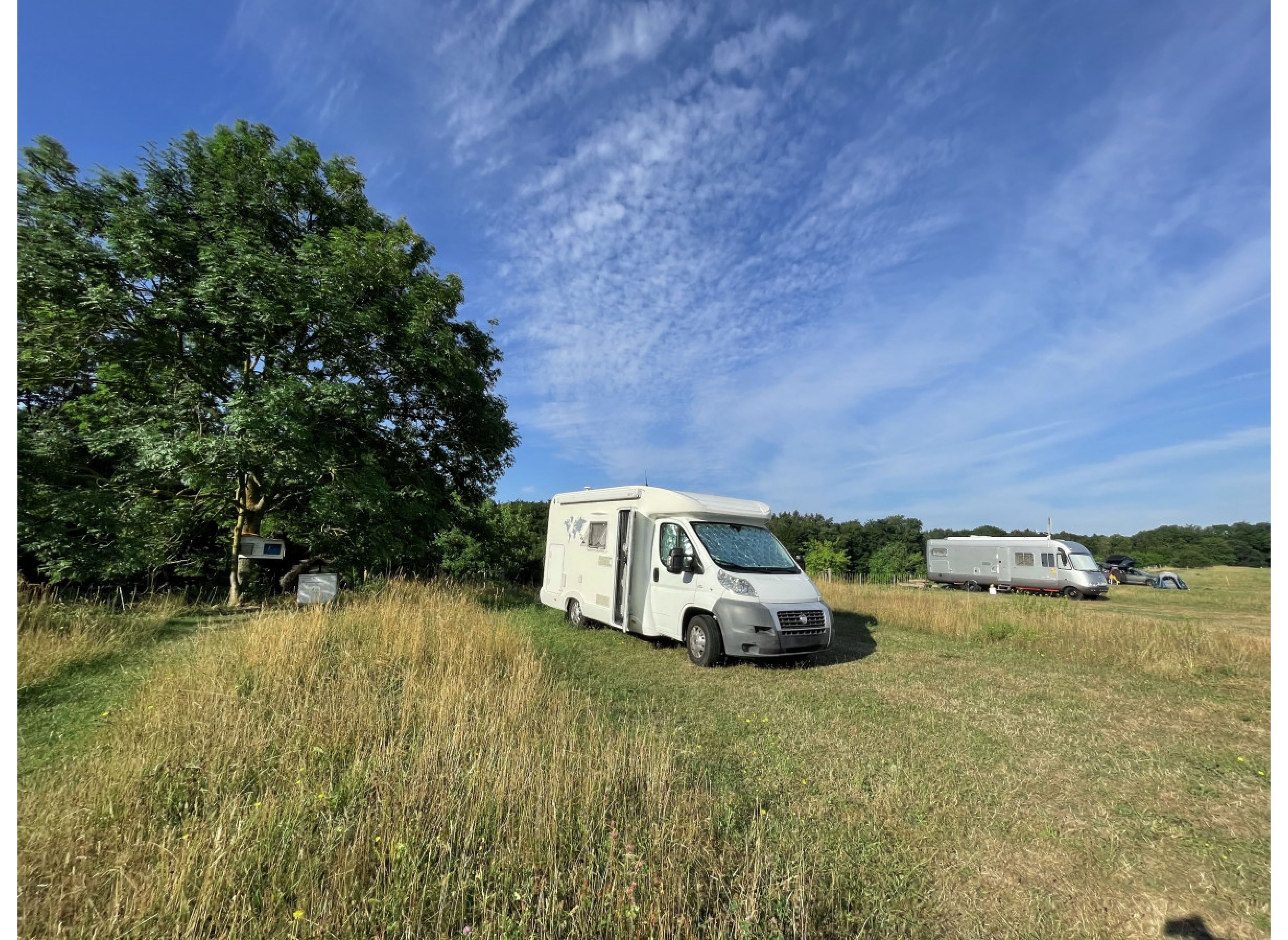 Obstwiese — Photo 2