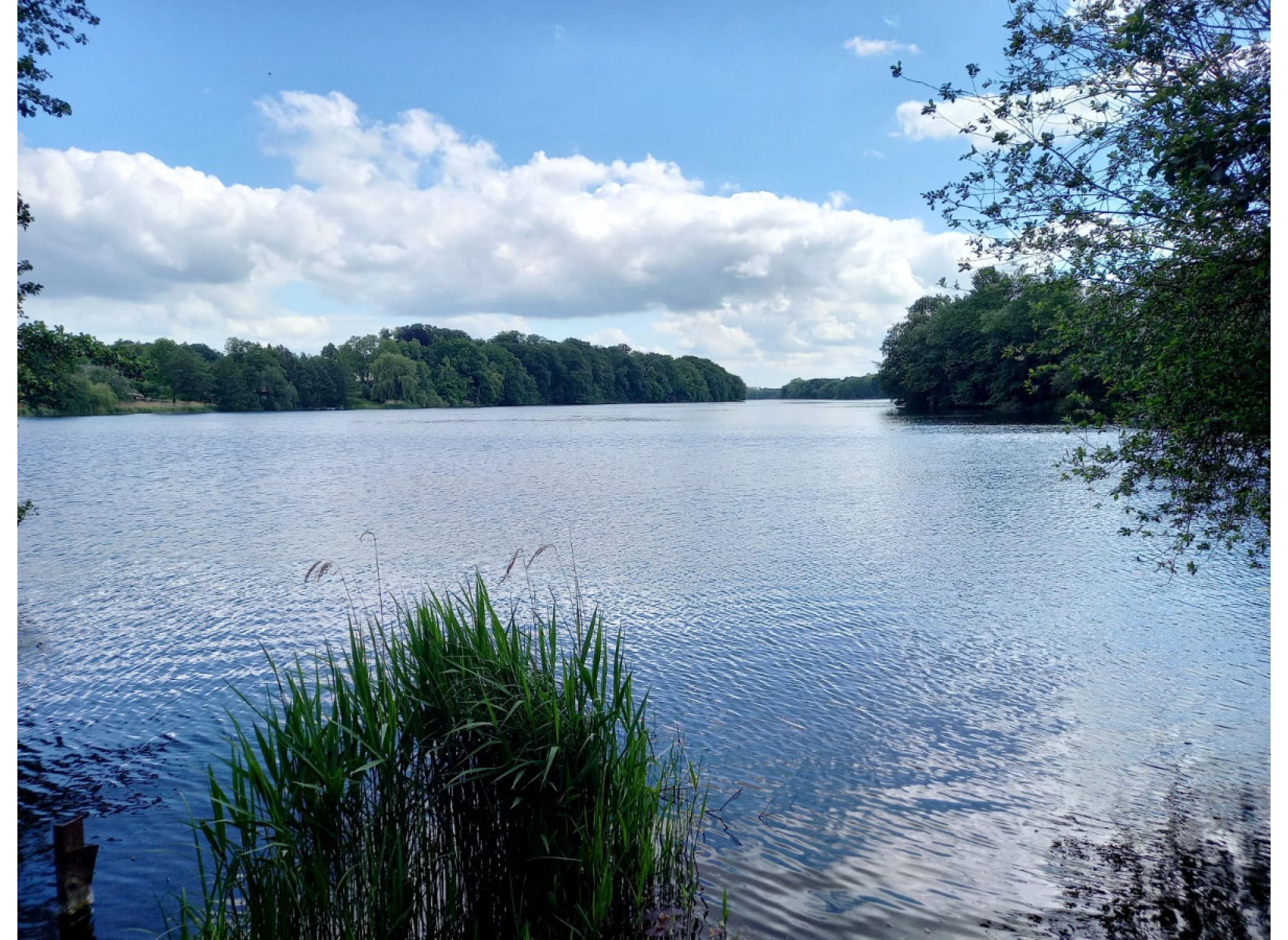 Große Wiese mit Weitblick am Cramoner See #2