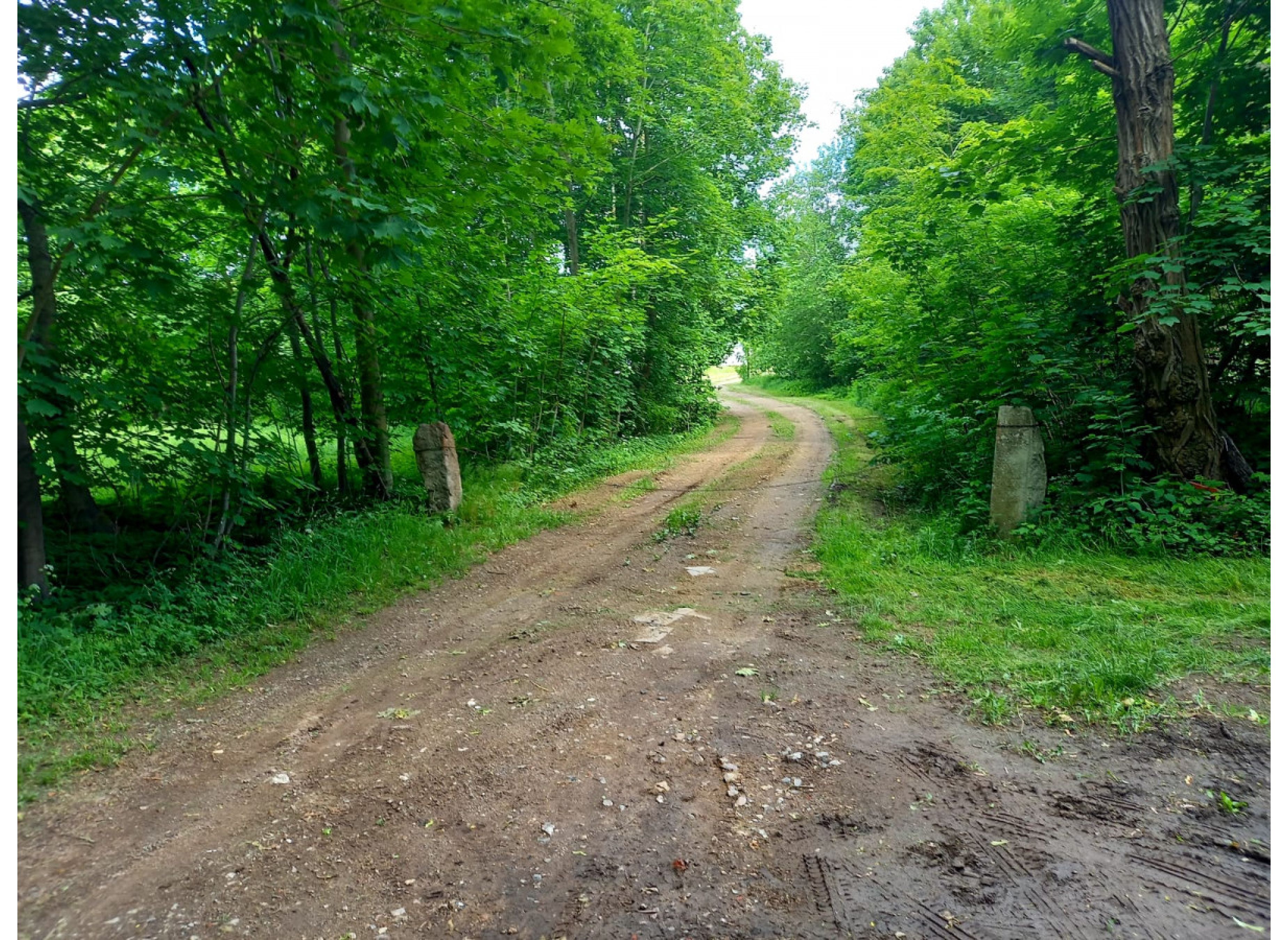 Große Wiese mit Weitblick am Cramoner See #2 — Photo 2