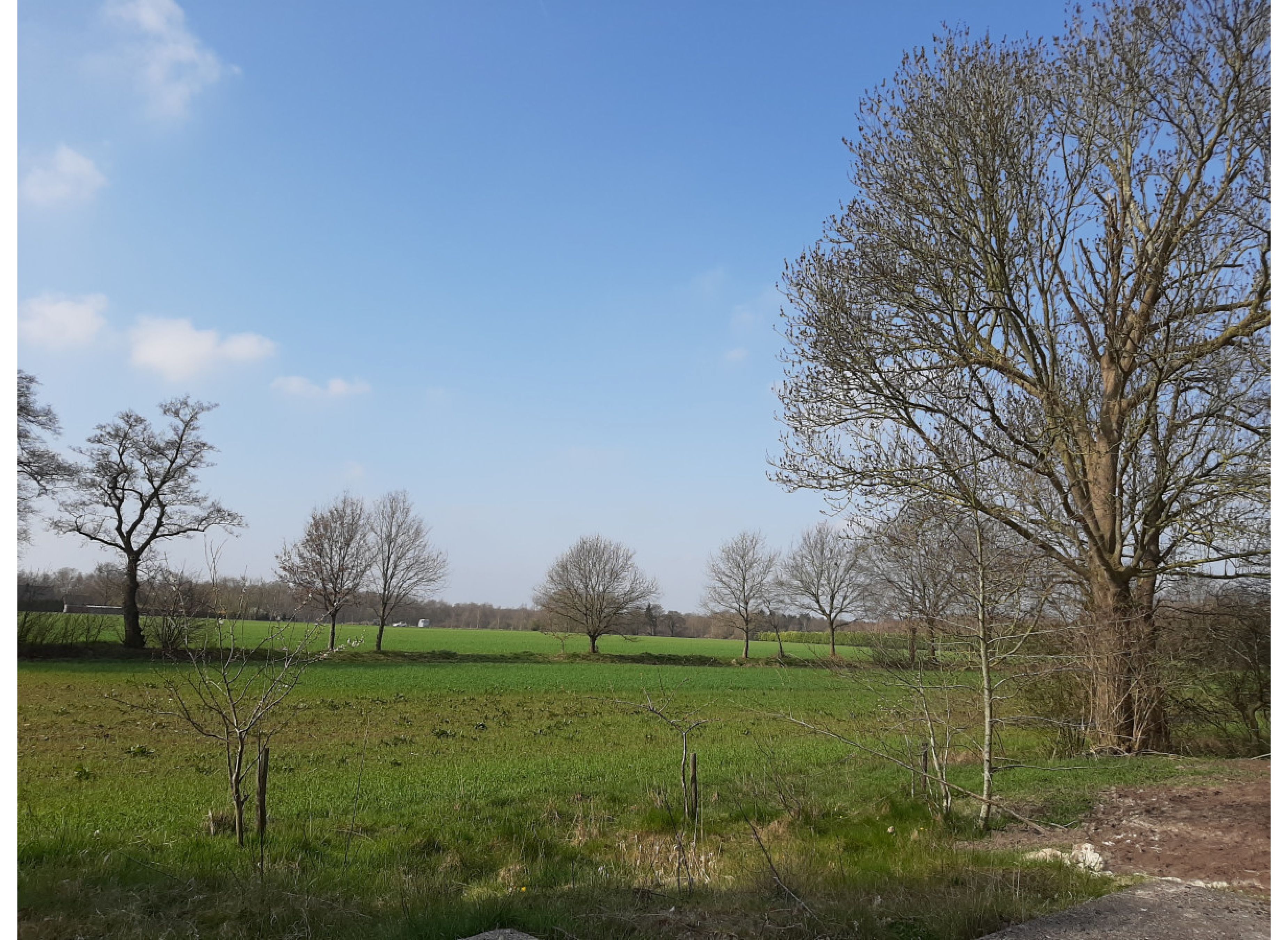 Ruhig und naturnah — Photo 2