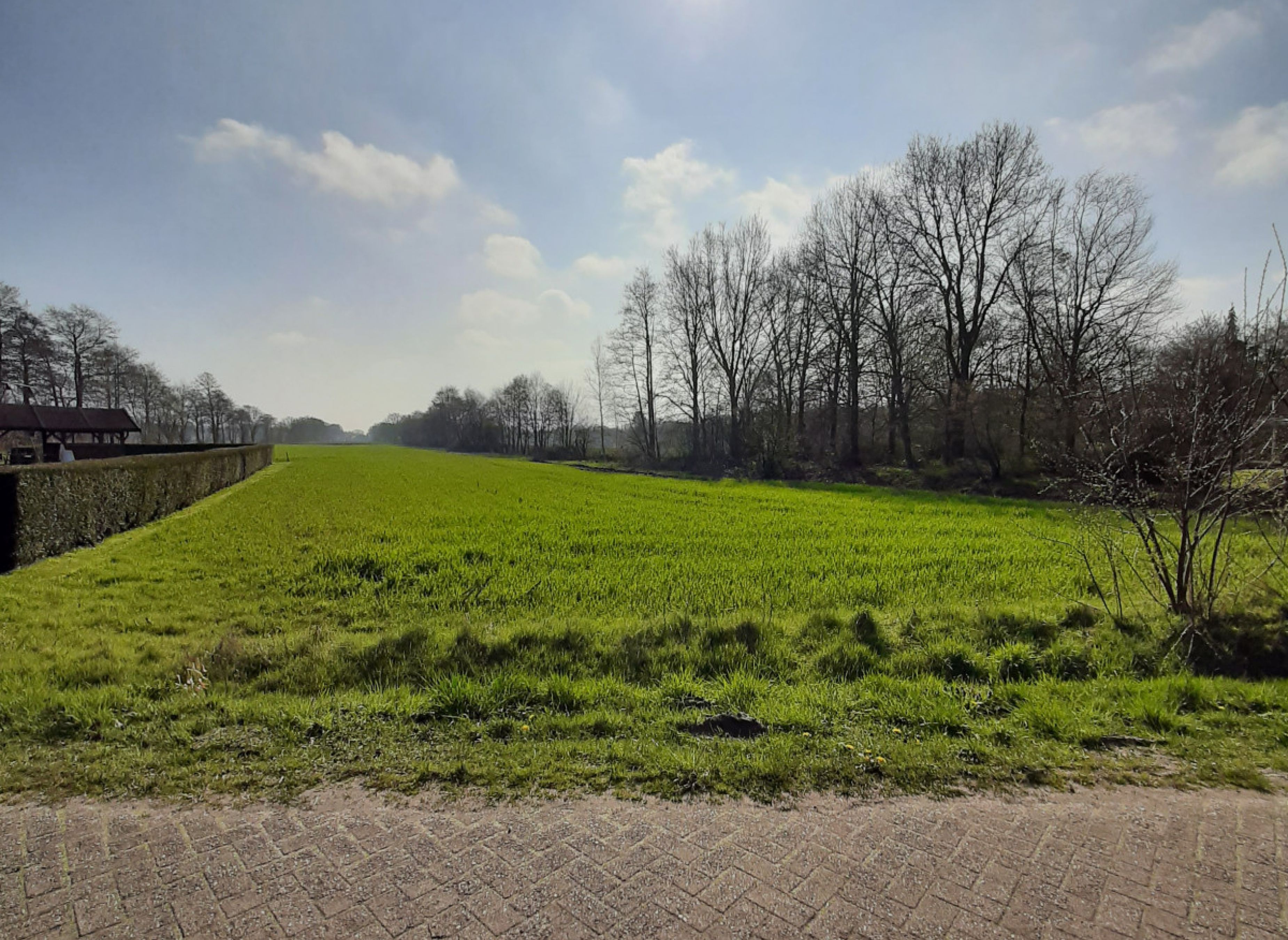 Ruhig und naturnah — Photo 3