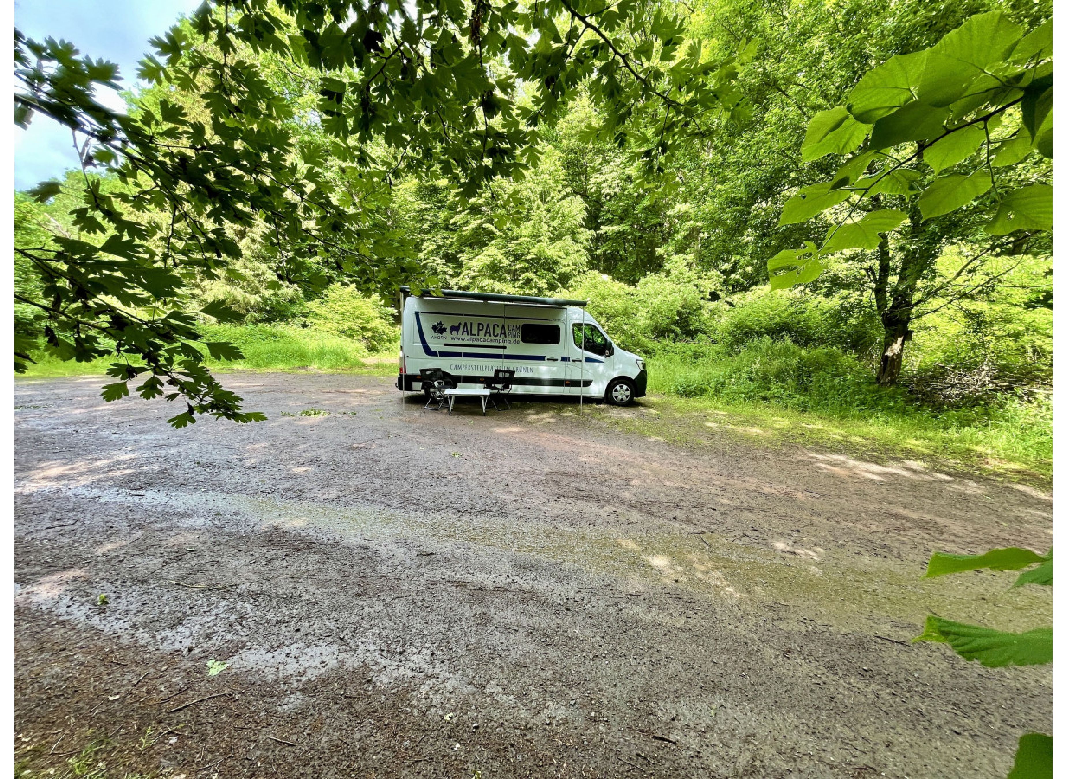 Ruhiger Waldplatz in der Nähe vom Schützenhaus