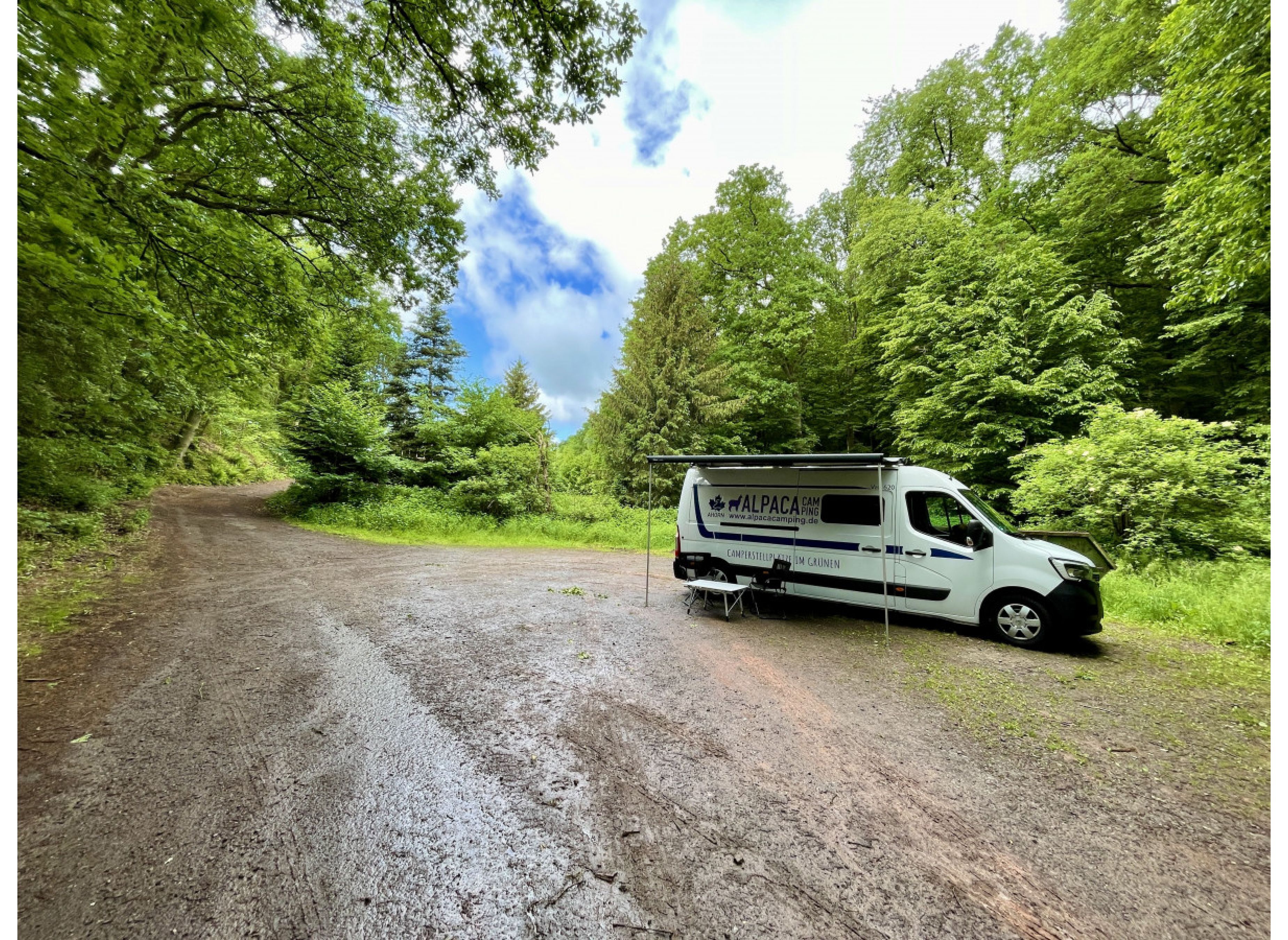 Ruhiger Waldplatz in der Nähe vom Schützenhaus — Photo 2