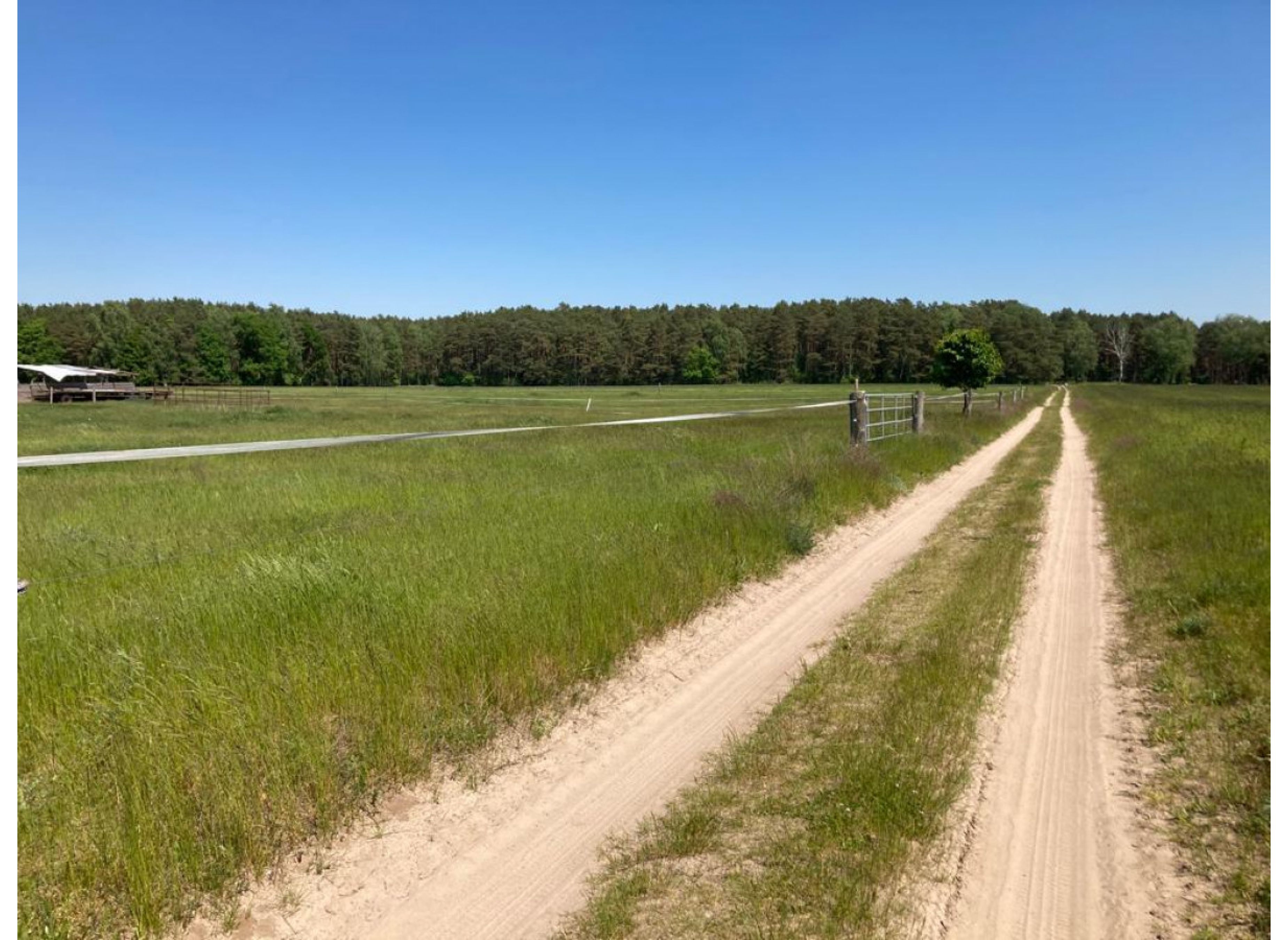 Eingezäuntes sonniges Plätzchen