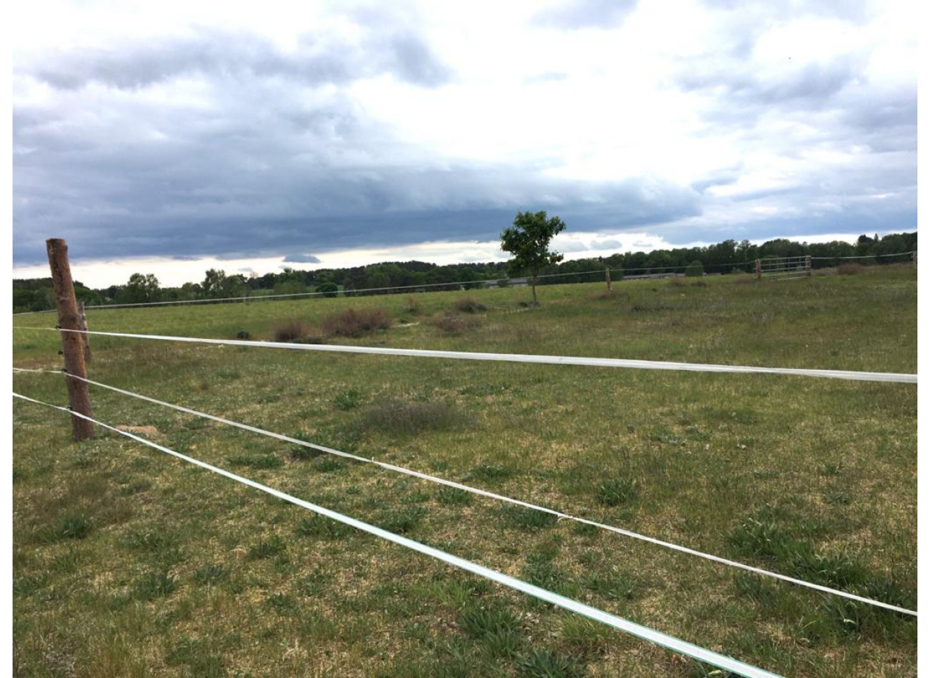 Eingezäuntes sonniges Plätzchen — Photo 2