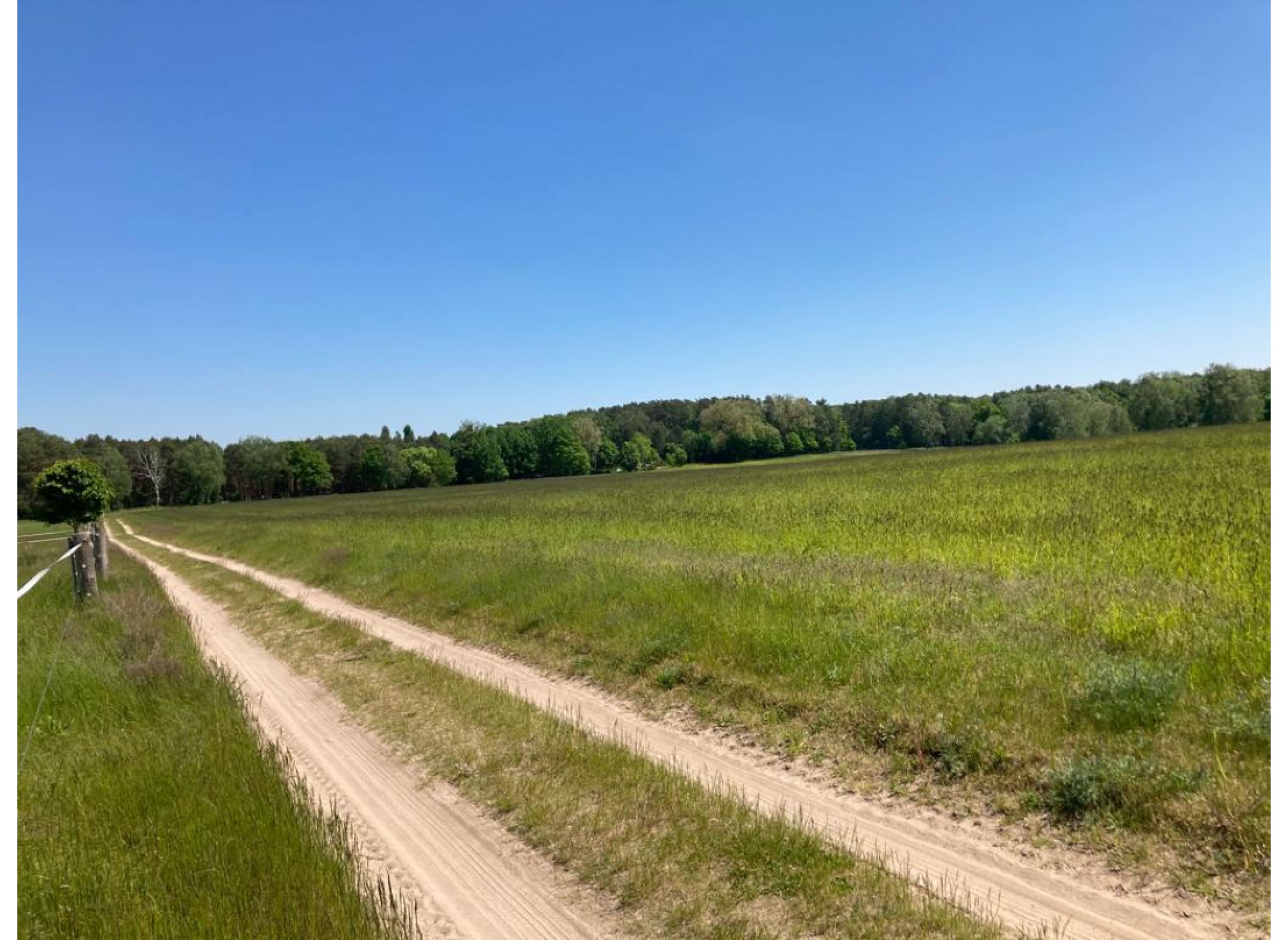 Eingezäuntes sonniges Plätzchen — Photo 3