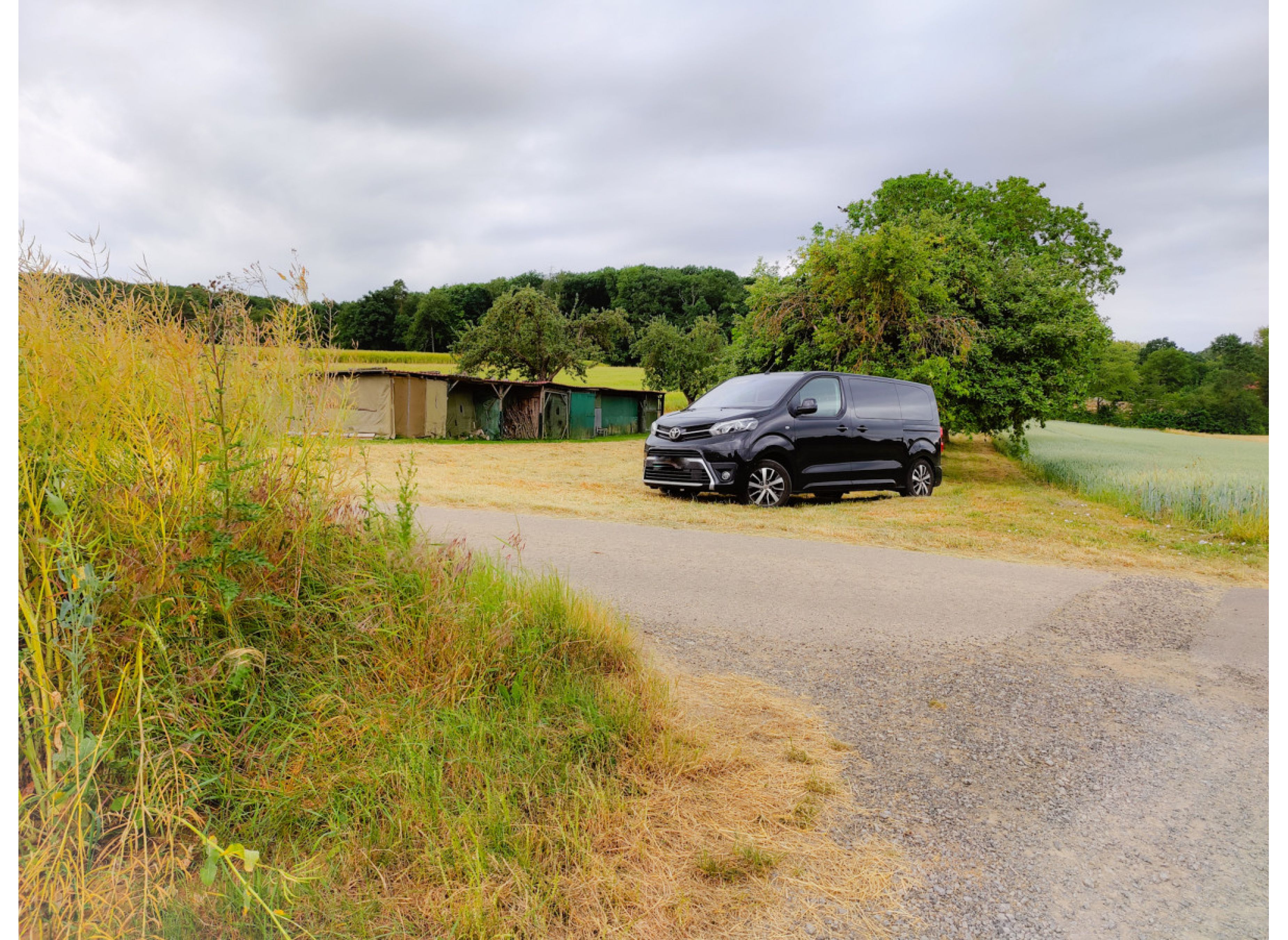Auf der Obstbaum-Wiese inmitten von Feldern