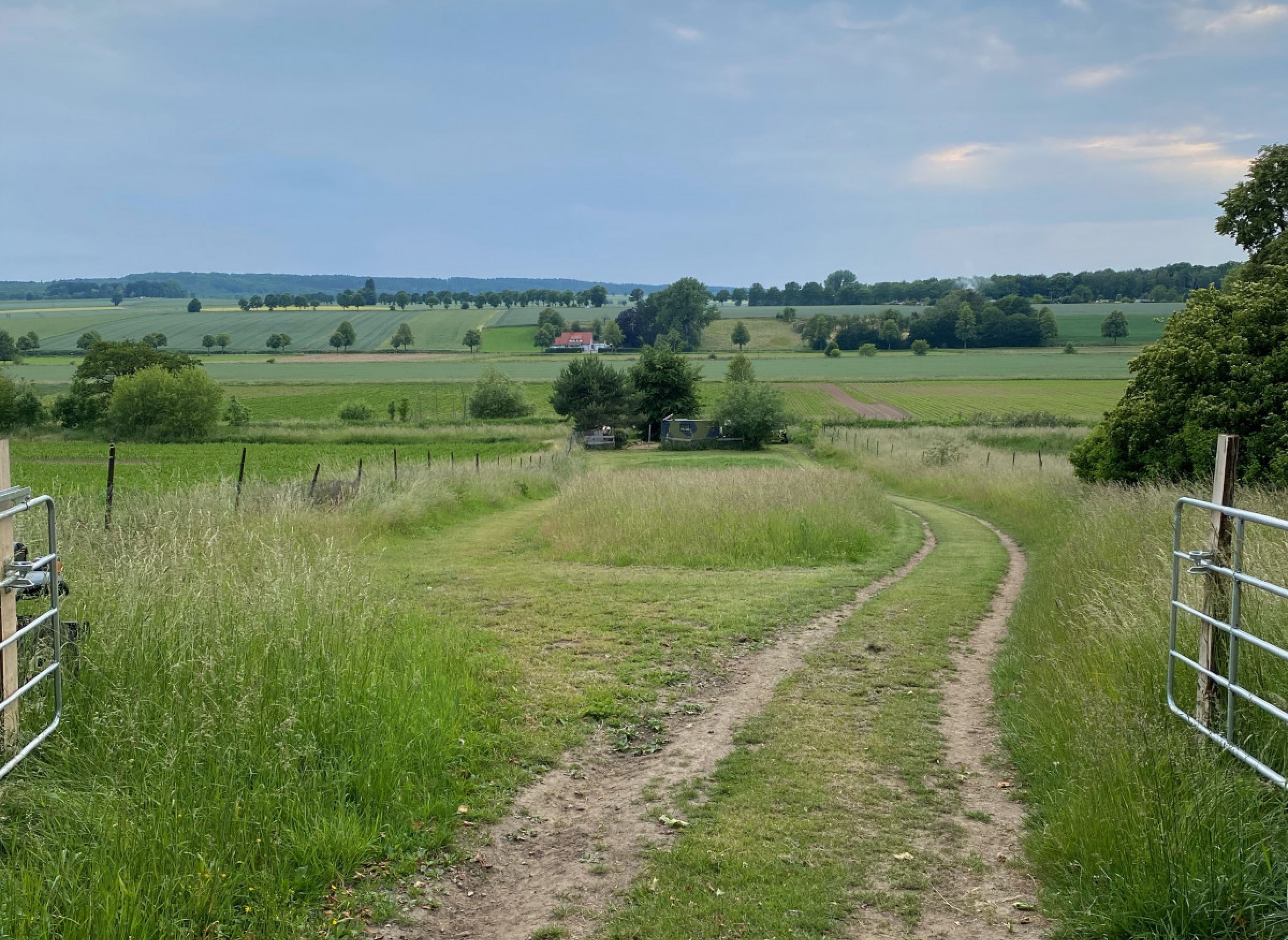 Naturcamping mit Sundowner, Lagerfeuer und Eisvogel #2