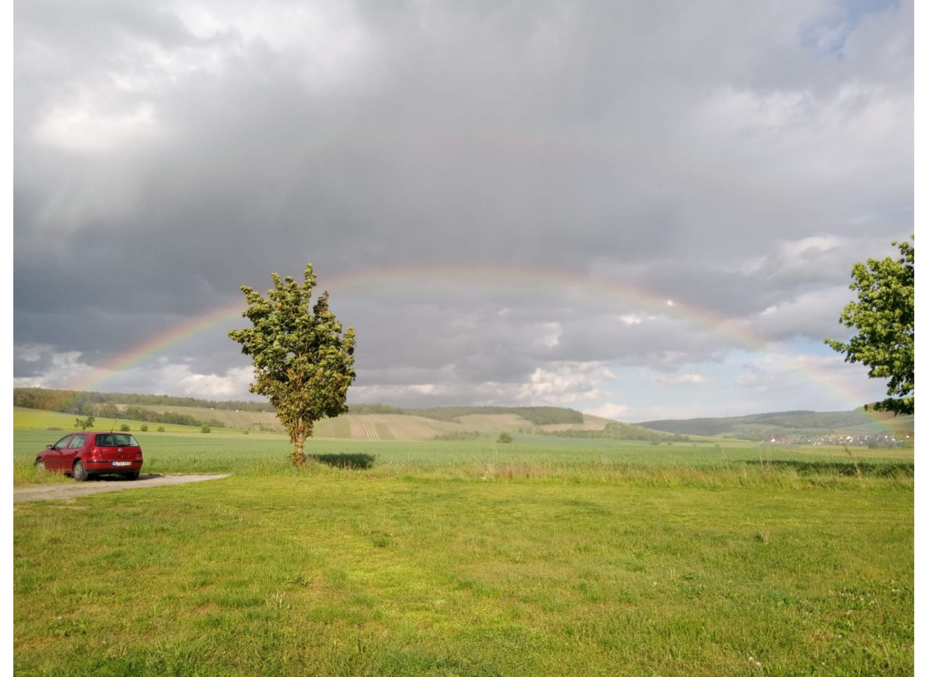Wiesenstellplatz, am Waldrand gelegen, Gelände des Kletterwaldes. #2