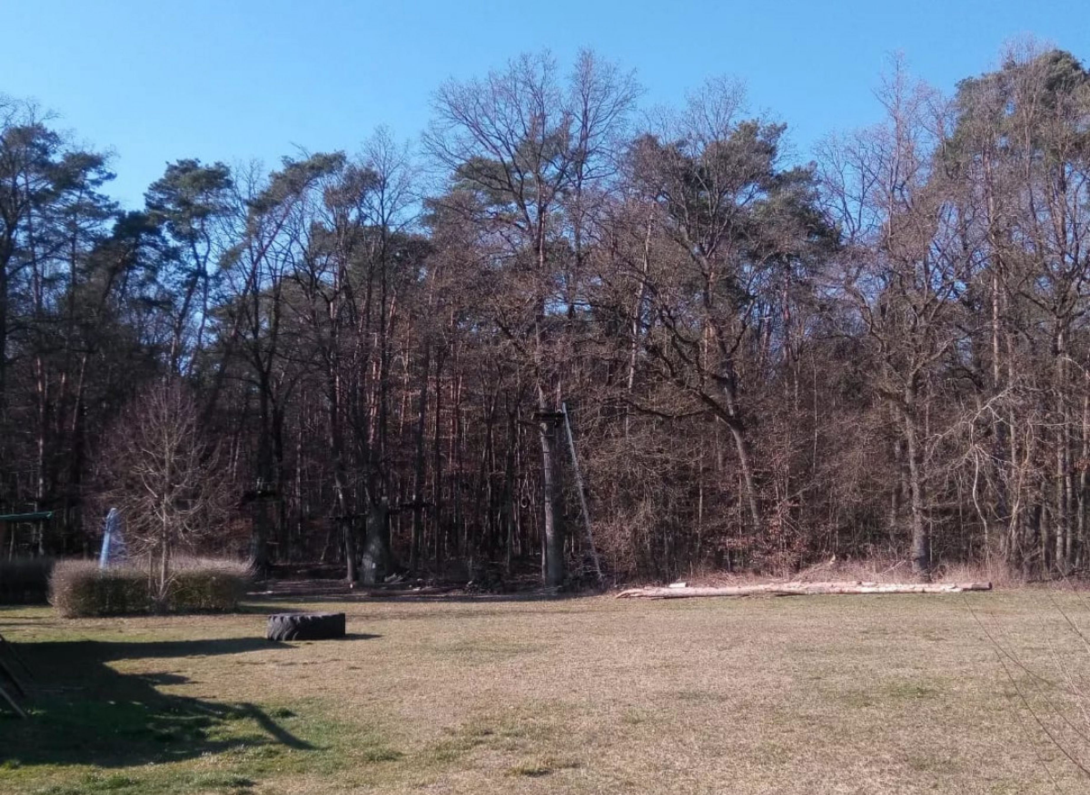 Wiesenstellplatz, am Waldrand gelegen, Gelände des Kletterwaldes. #2 — Photo 2