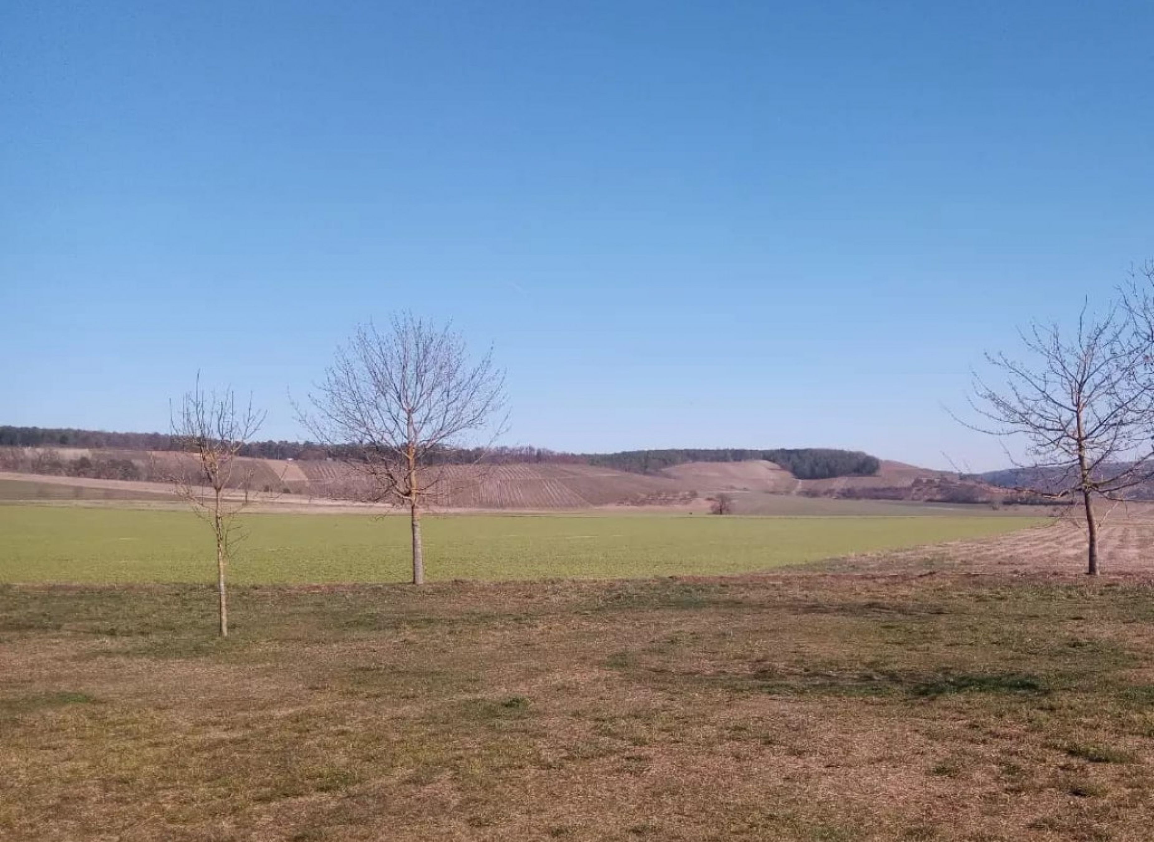 Wiesenstellplatz, am Waldrand gelegen, Gelände des Kletterwaldes. #2 — Photo 3