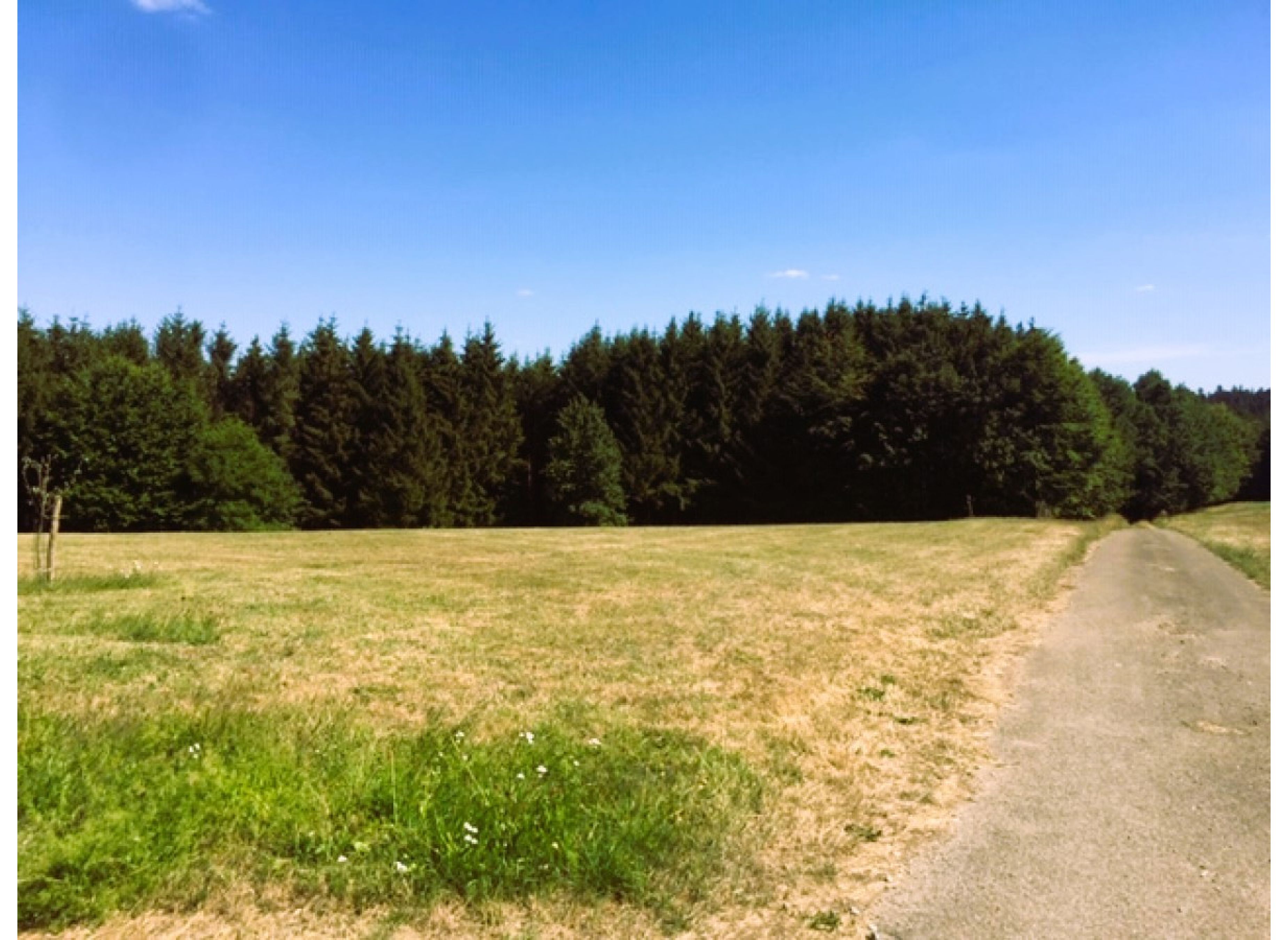 In the middle of nowhere