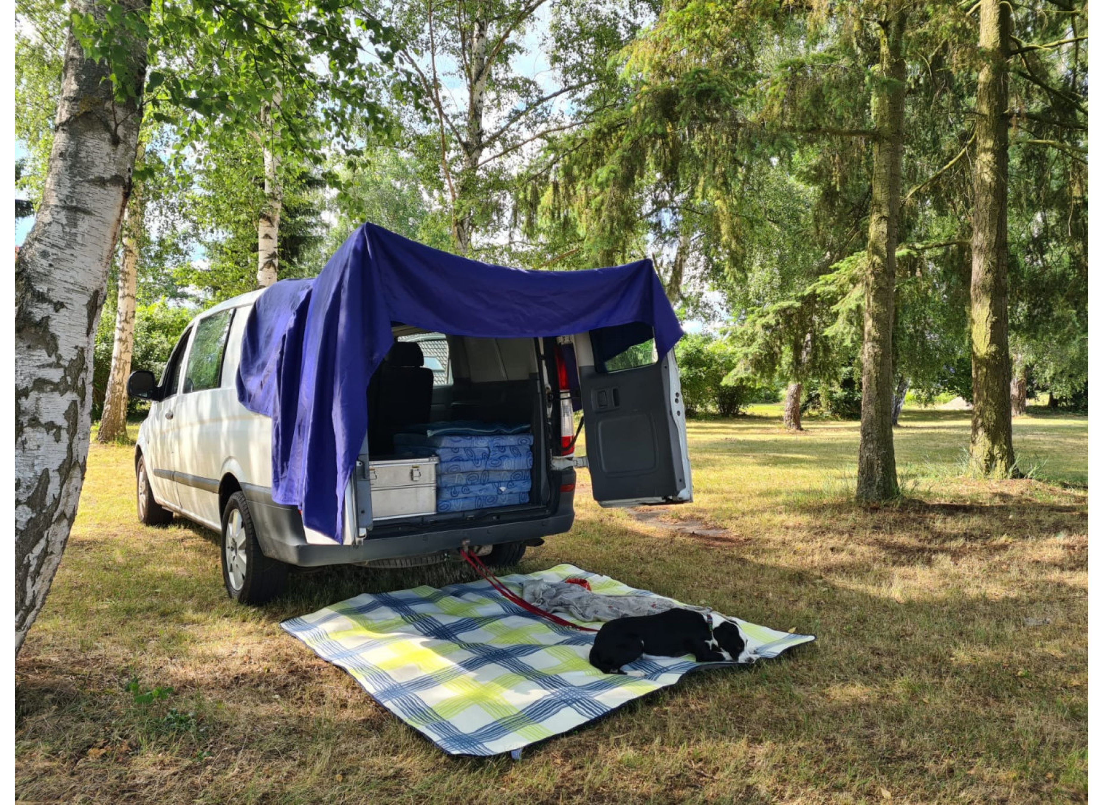 Schöner Wiesenstellplatz in Haßloch Süd #2