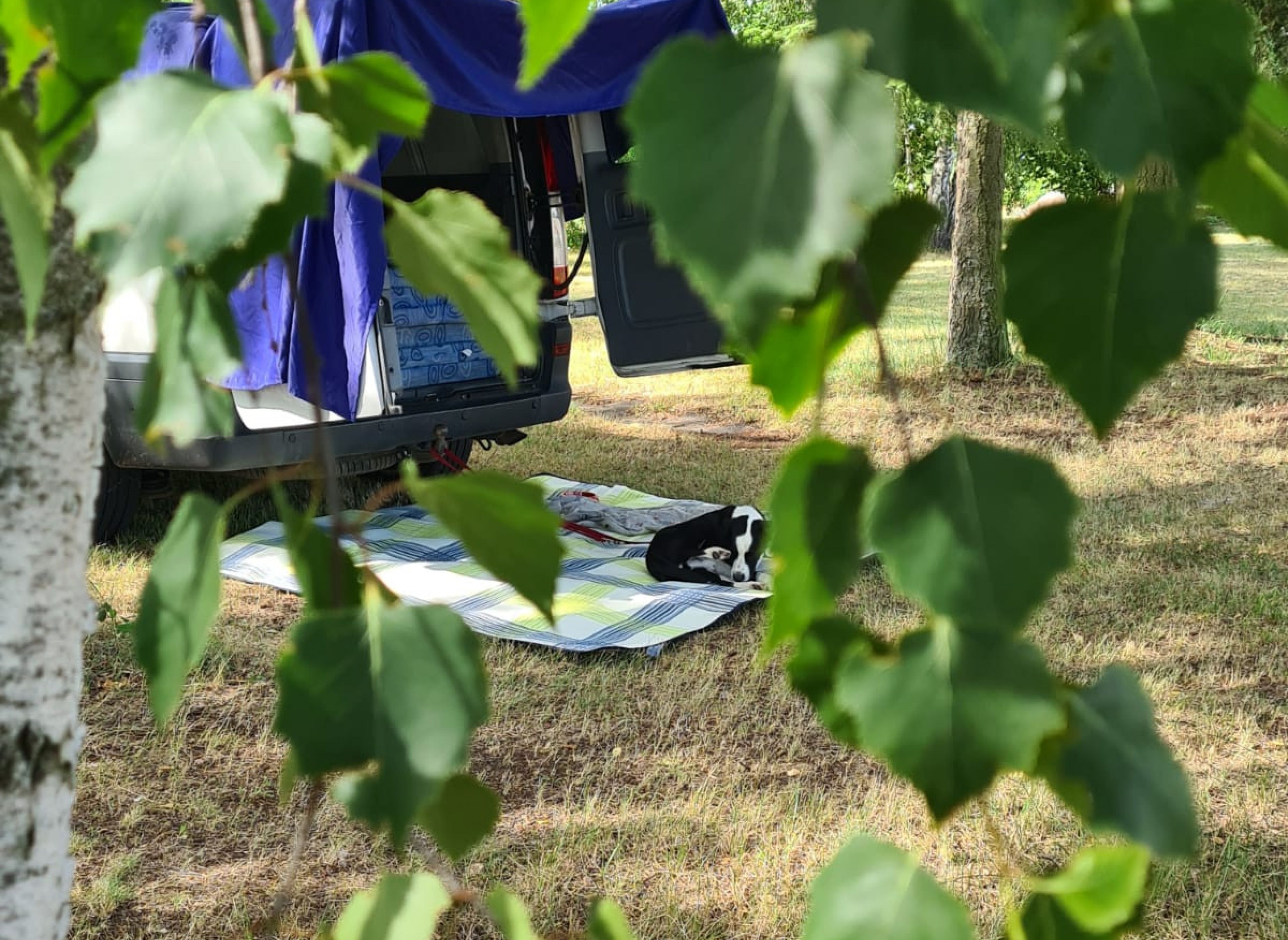 Schöner Wiesenstellplatz in Haßloch Süd #2 — Photo 3