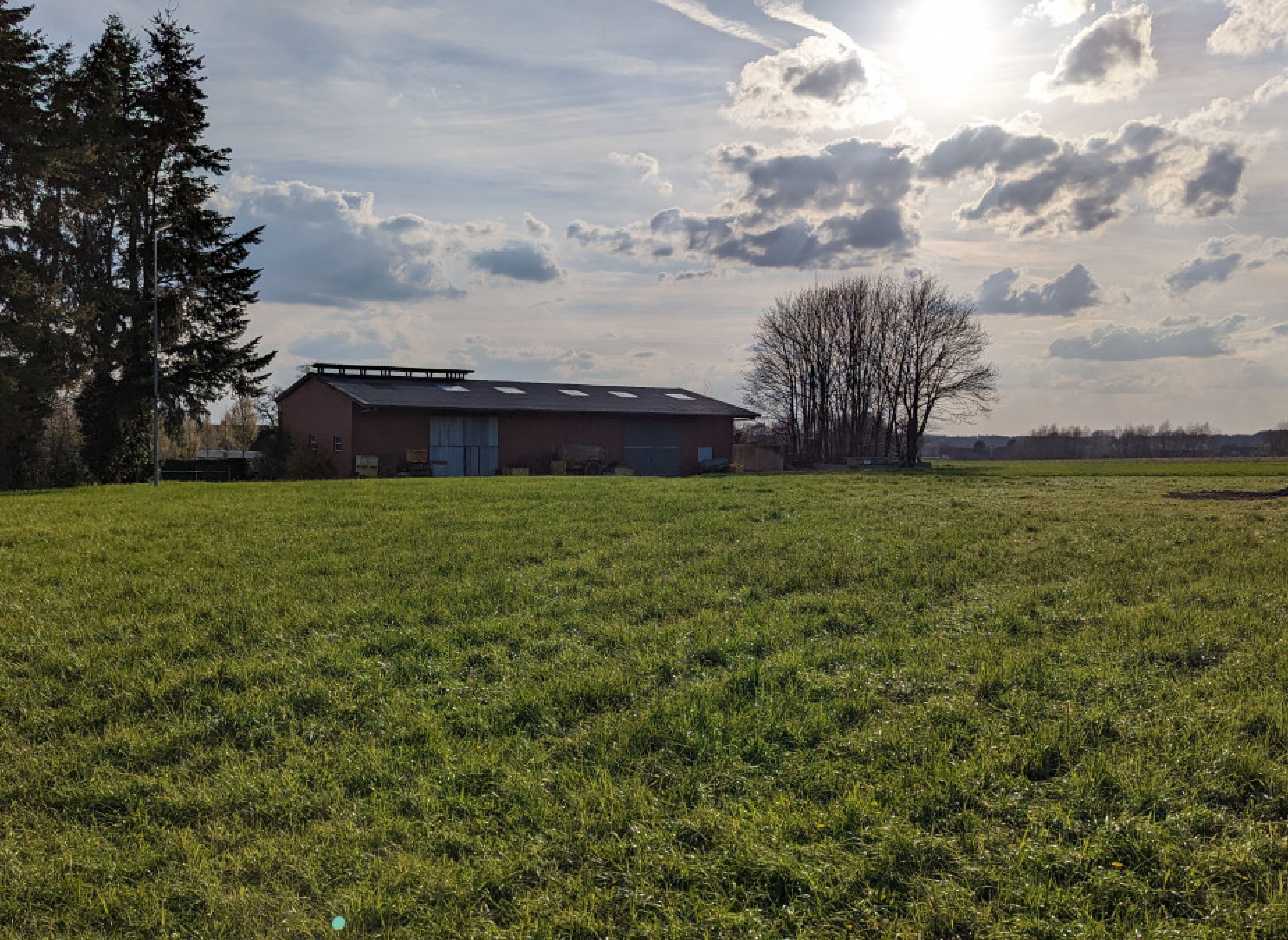 Stellplatz im Grünen am Fuße des Teutoburger Waldes — Photo 3