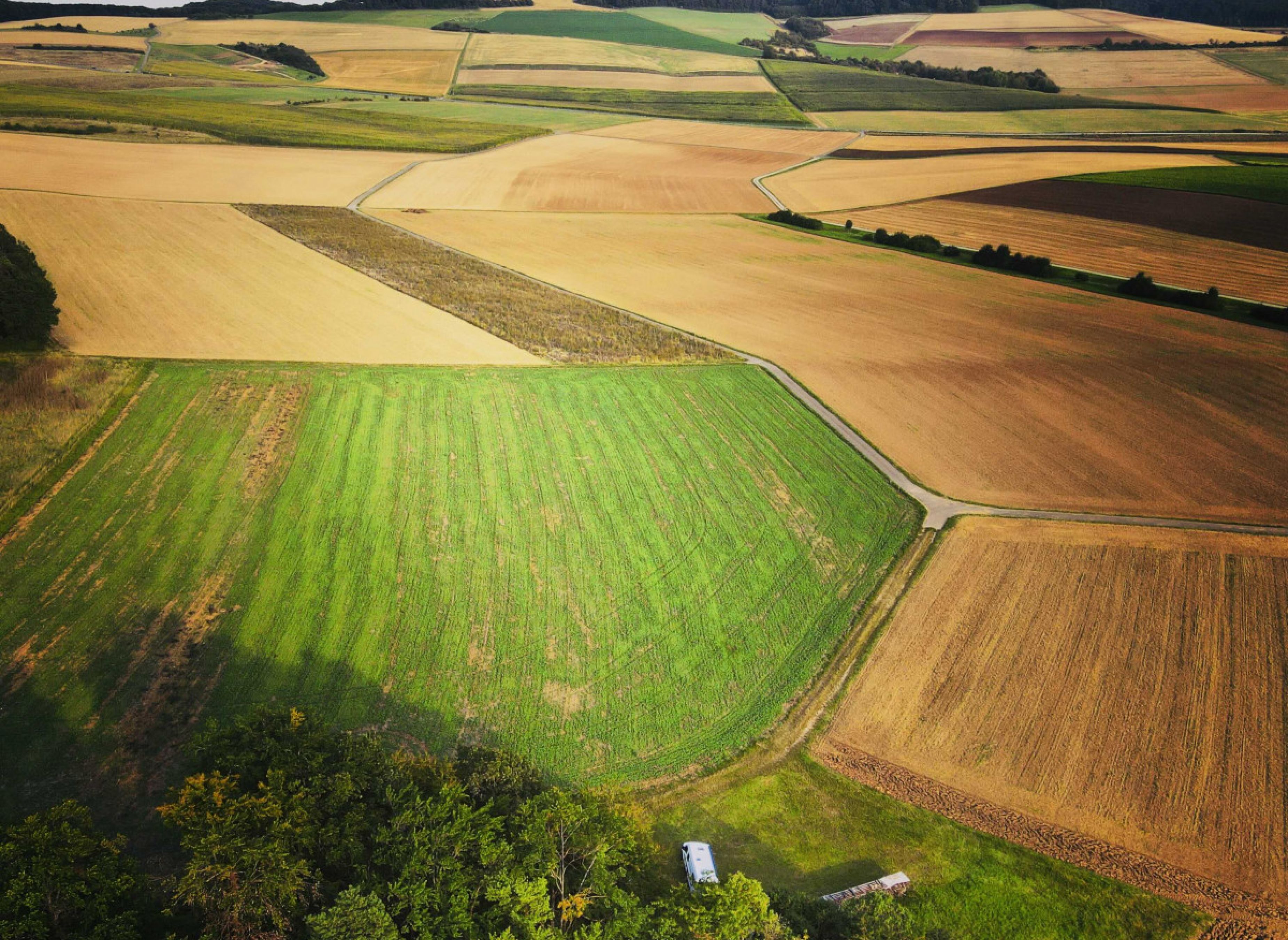 Am Fuße des Sodenbergs — Photo 2