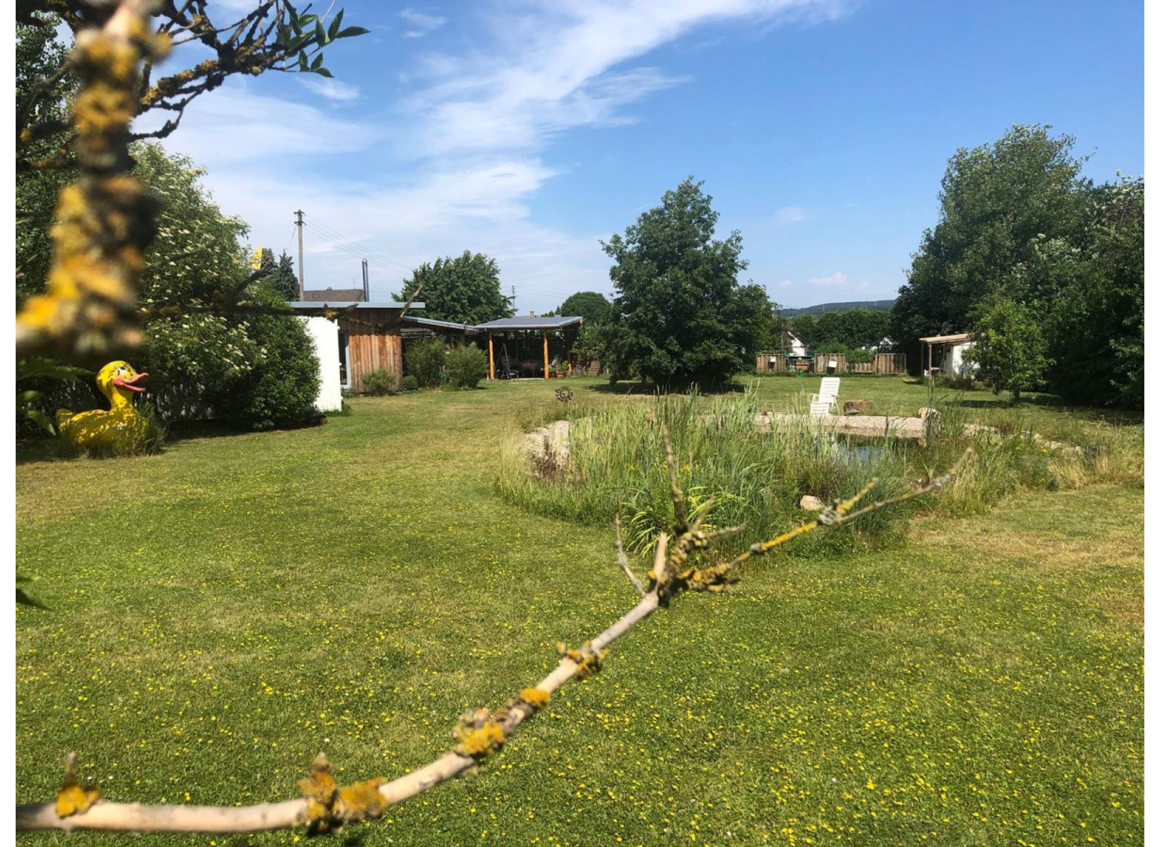 Großes Grundstück mit Teich am   Rande von Werlau. Nur ein paar Gehminuten vom Freibad entfernt. — Photo 3