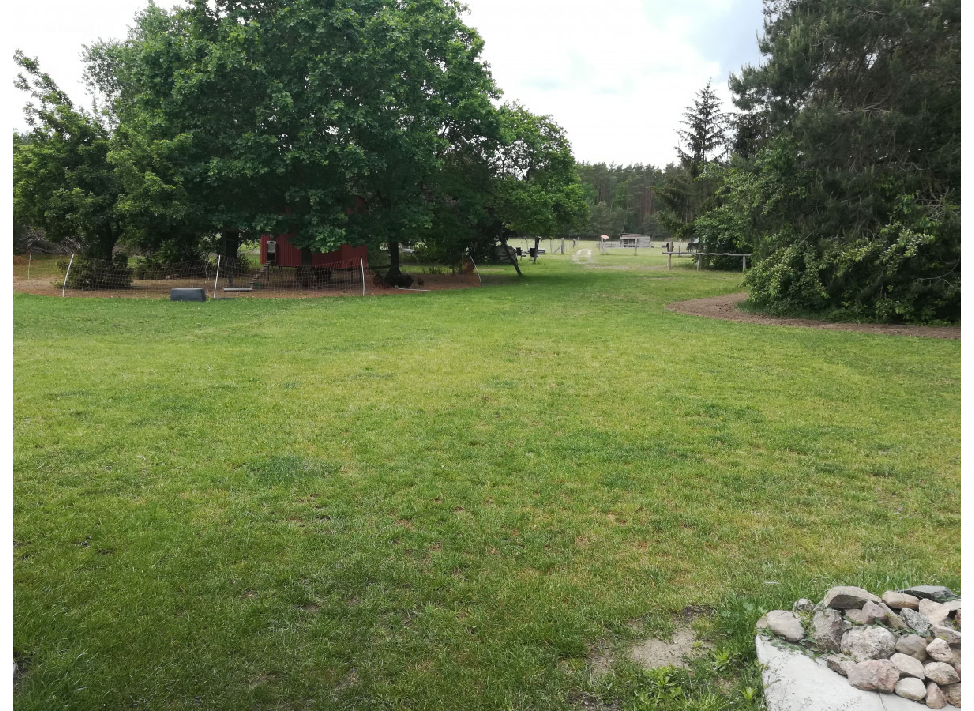 Campingplatz unter Bäumen mit Tieren in der Nähe