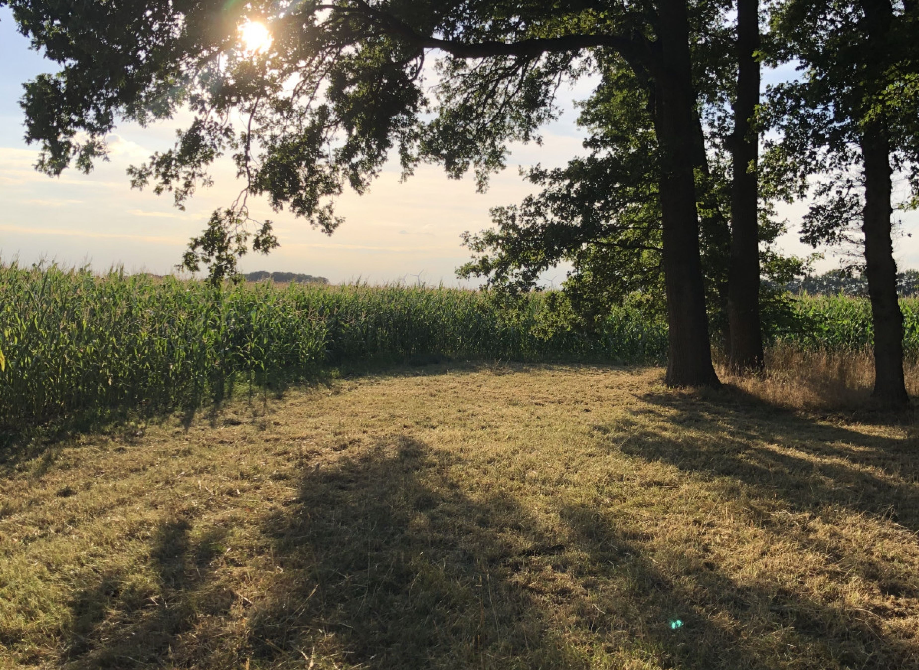 Einzelstellplatz am Eichenwald