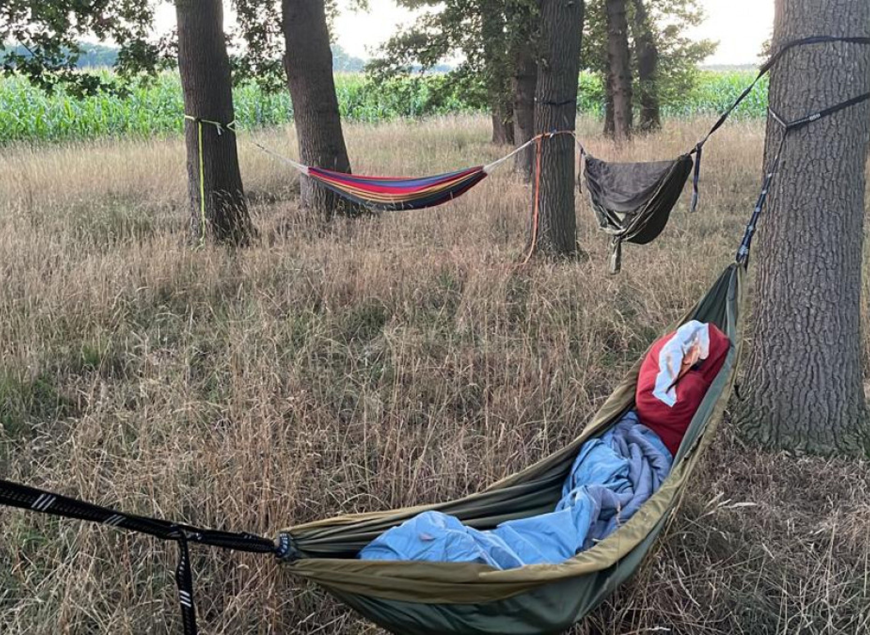 Einzelstellplatz am Eichenwald — Photo 3