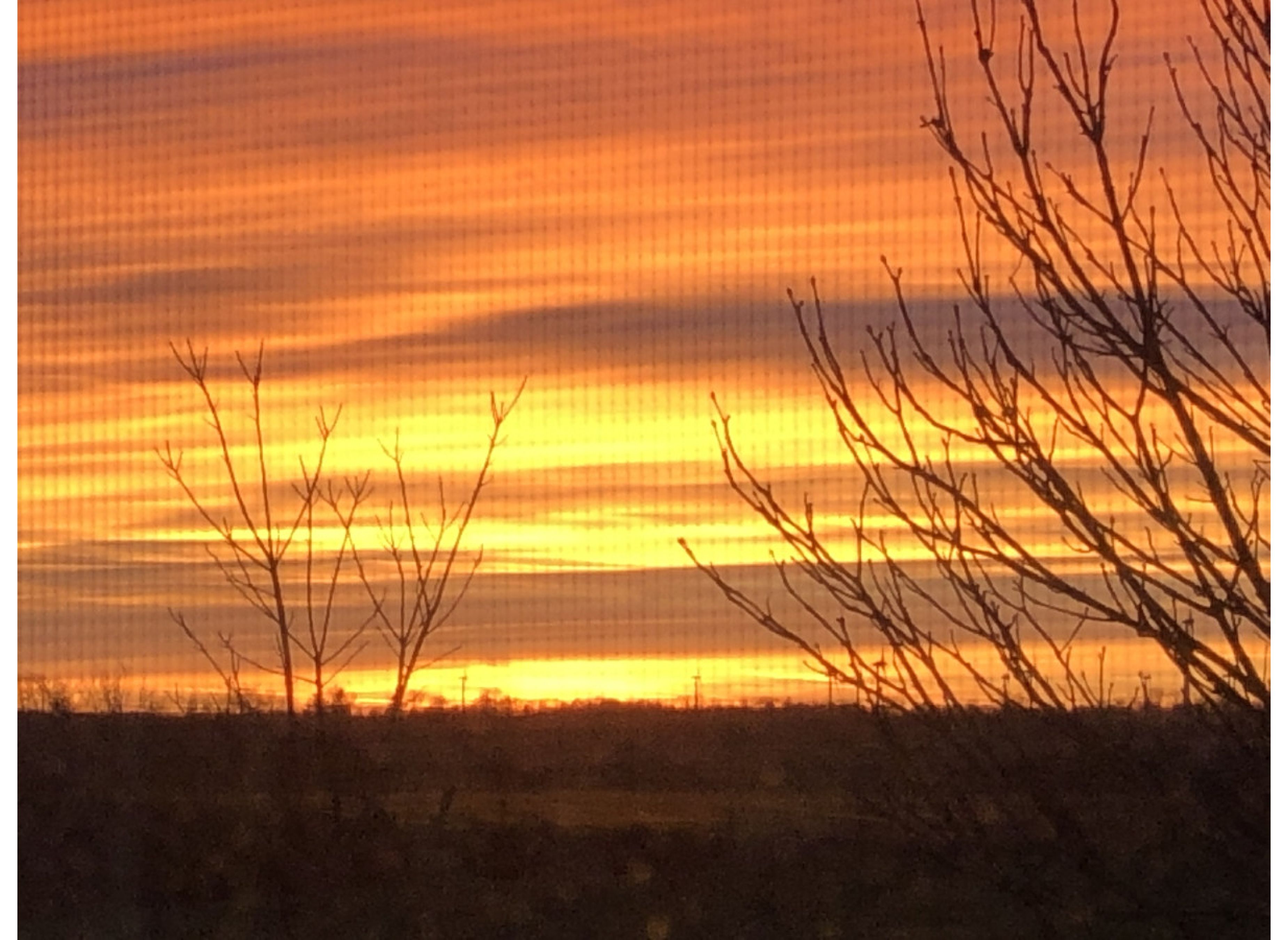 Blick auf Weide, kurzer Weg zum See — Photo 2